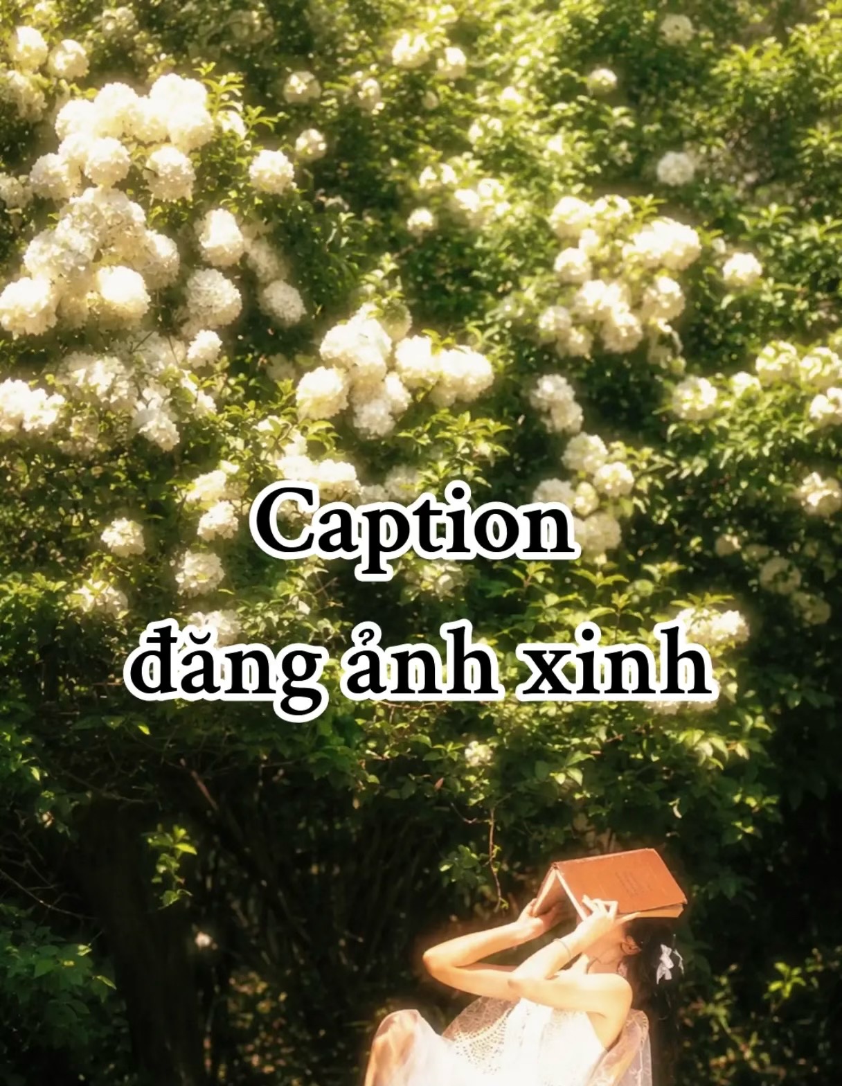 @Hạ Vy