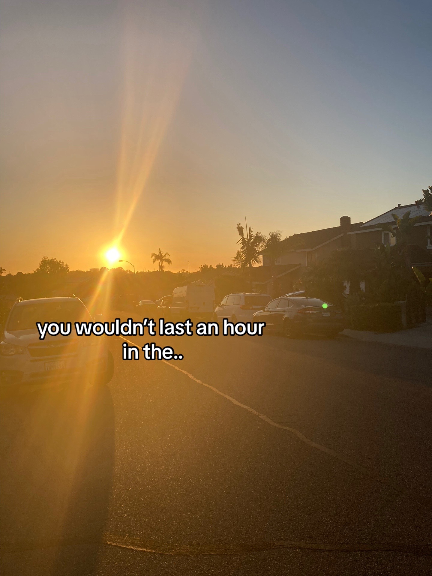 @vscofor2025