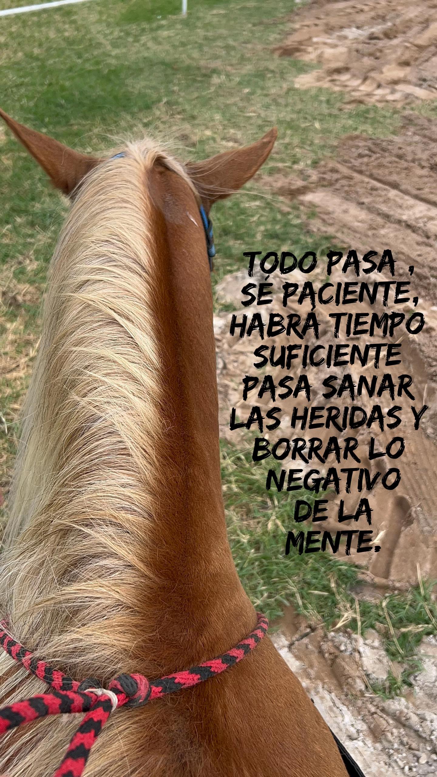 @🖇️myhatake.oficial
