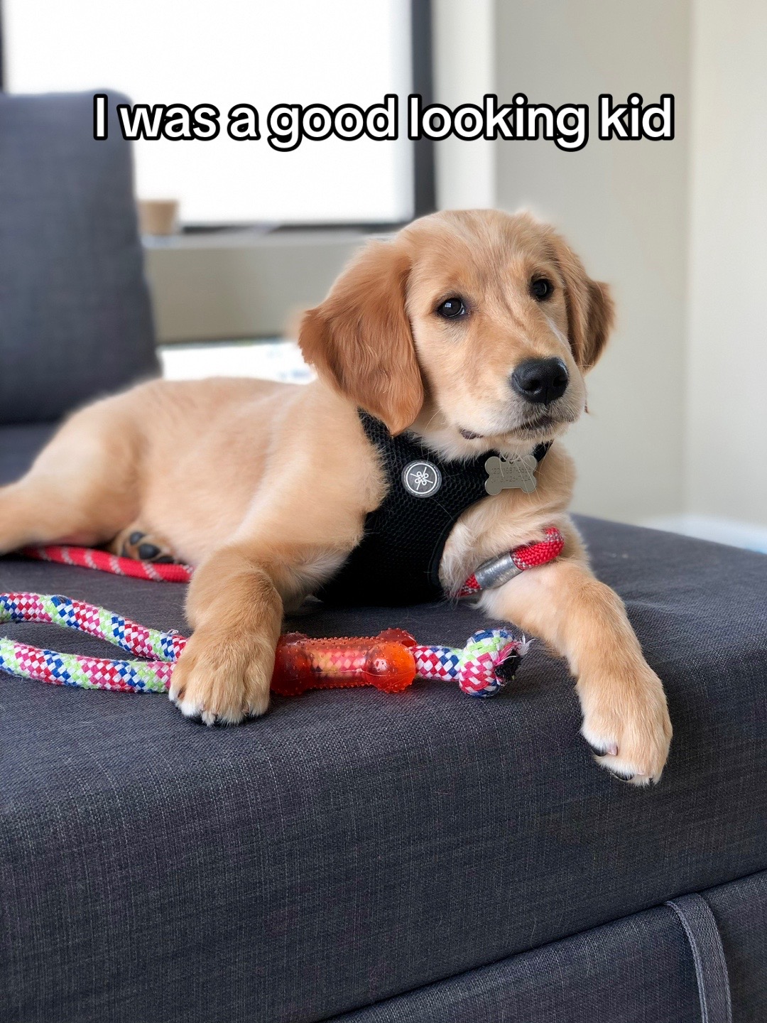 @riley_the_nugget