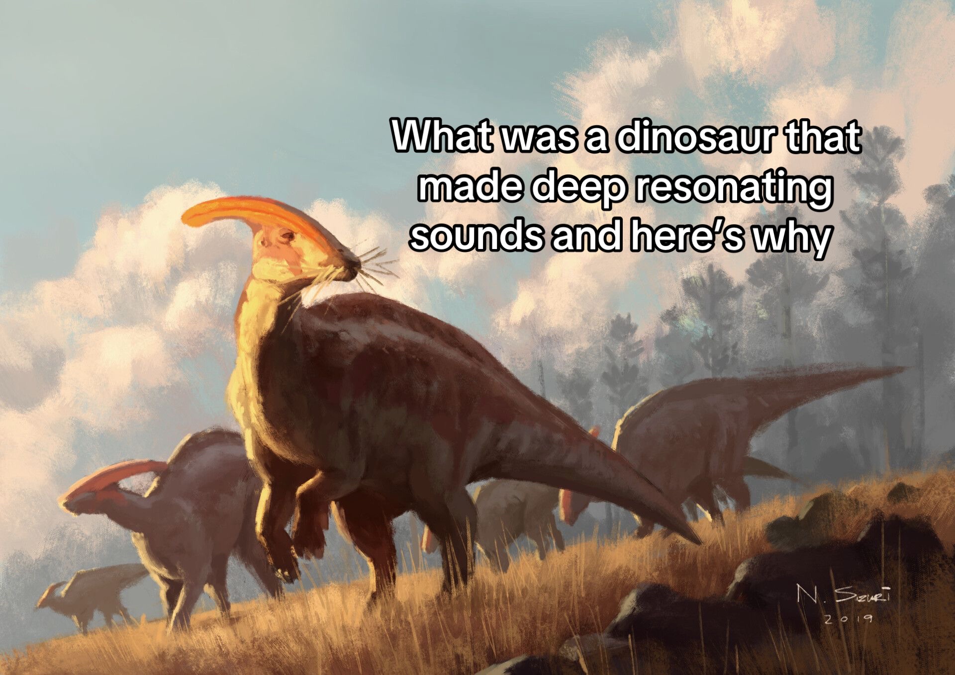 @basicallygeographic