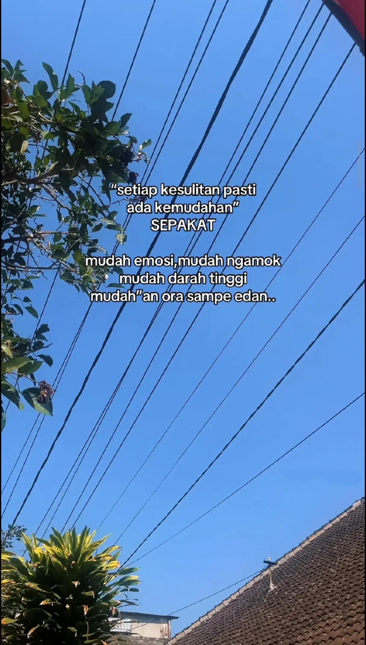 @𝙉𝙖𝙟𝙬𝙖 𝘼𝙡 𝘼𝙨𝙨𝙮𝙞𝙛𝙖