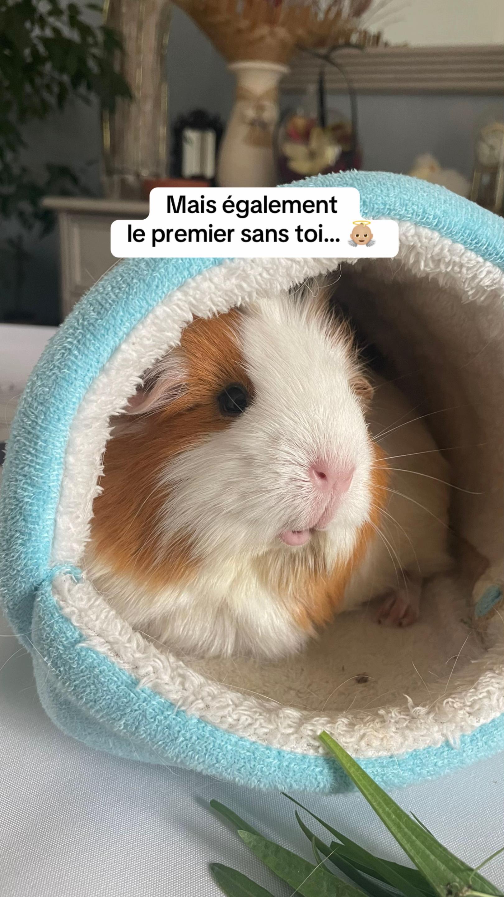 @It’s Gregouu