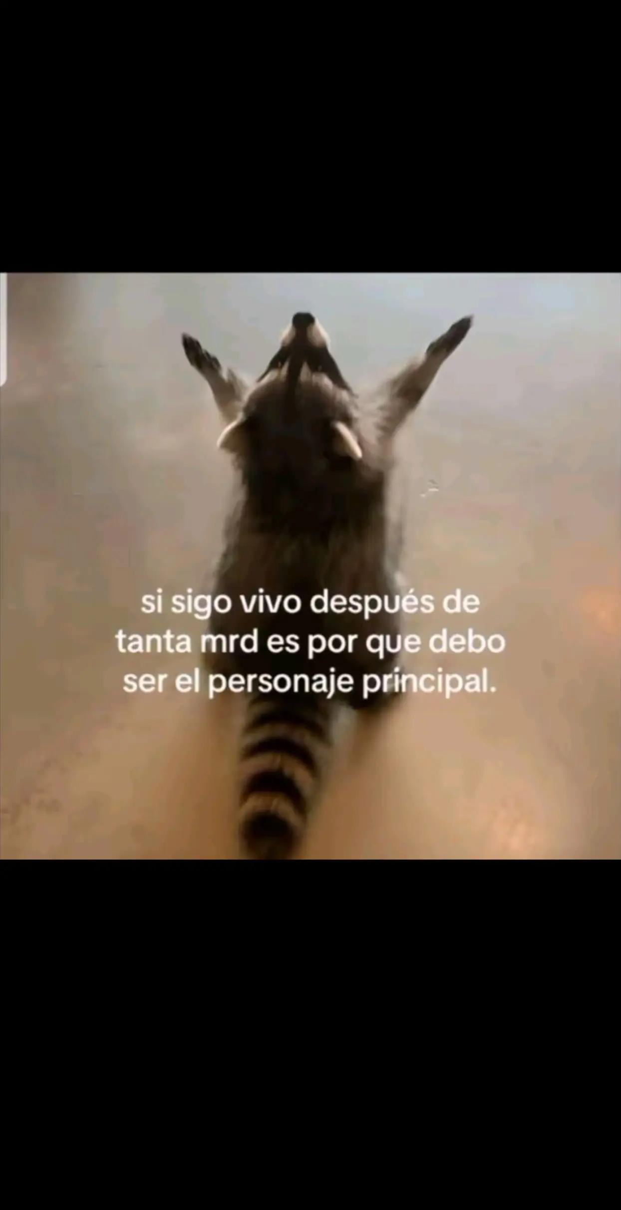 @duvancho Mendez 💥