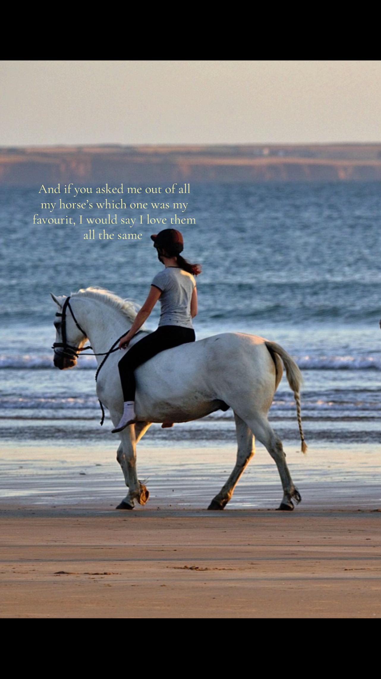 @amelia_showjumping2