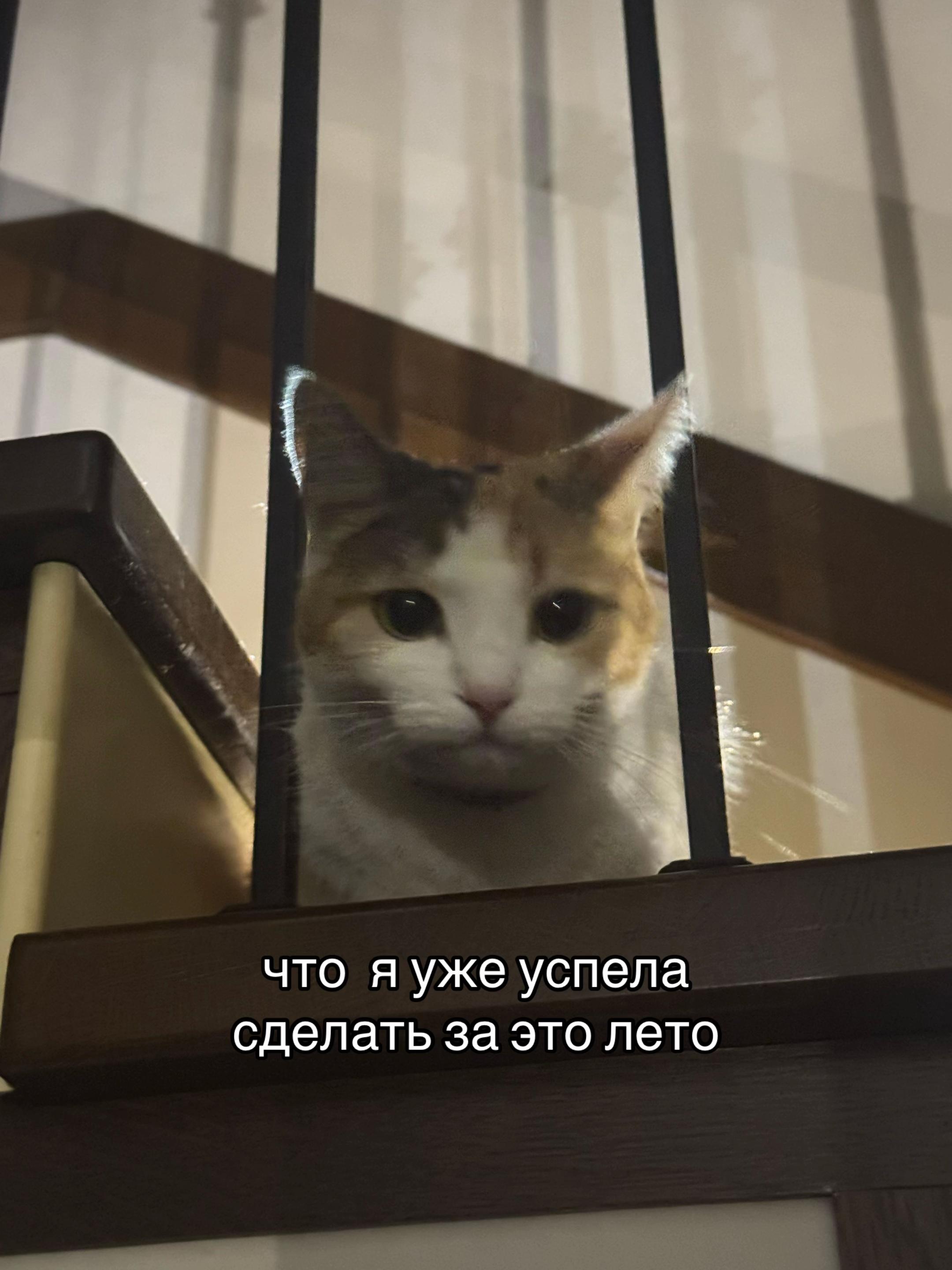 @ТГК: 𝑴𝒂𝒓𝒎𝒂𝒓𝒍𝒍𝒚 ♡