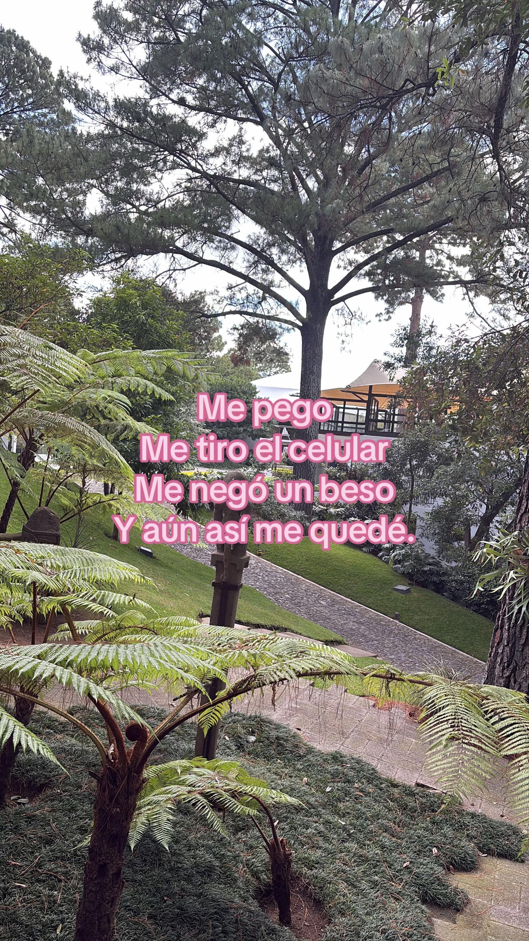 @Arely.G🖤