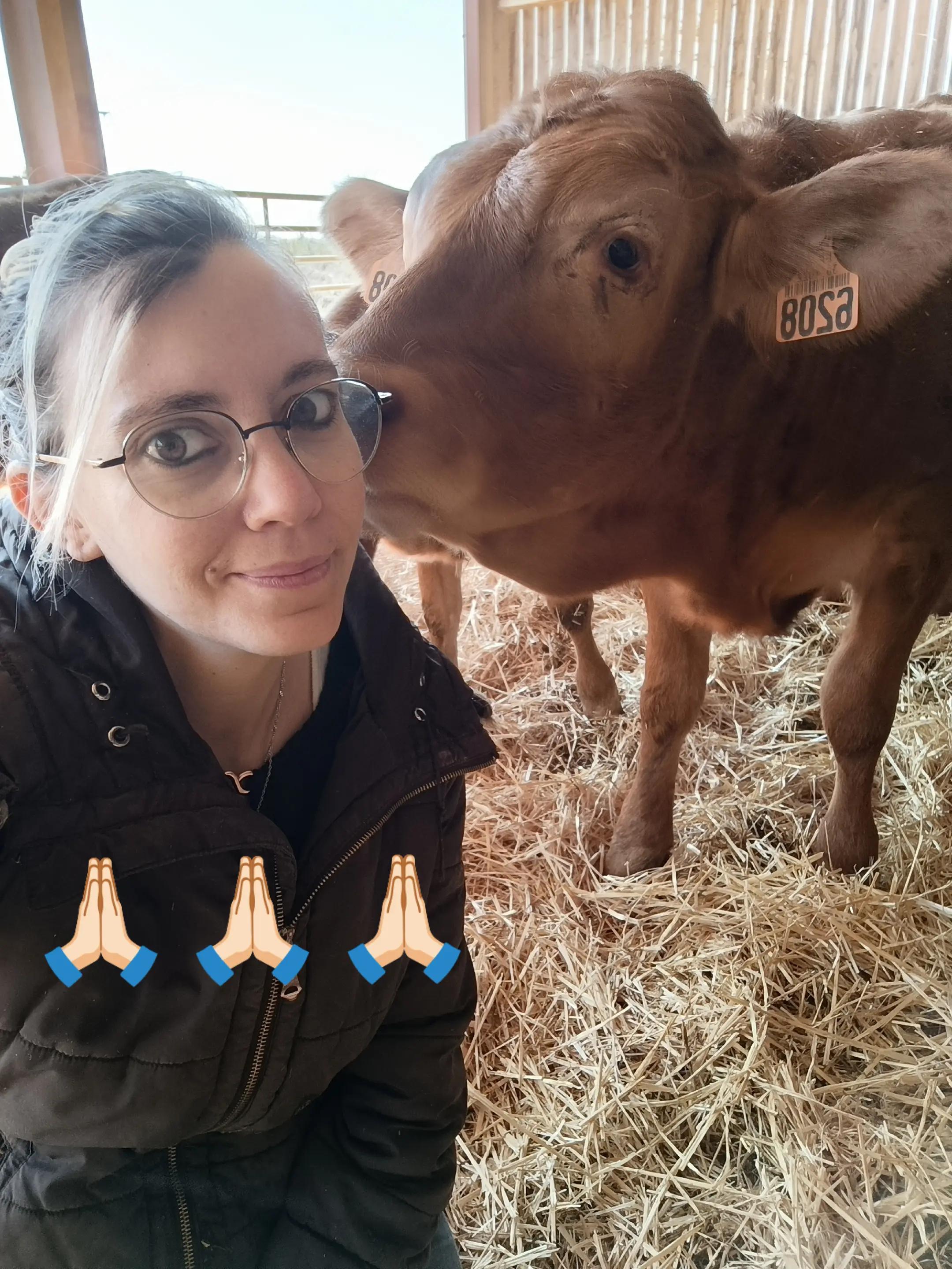 @Ludivine 🐶🐮