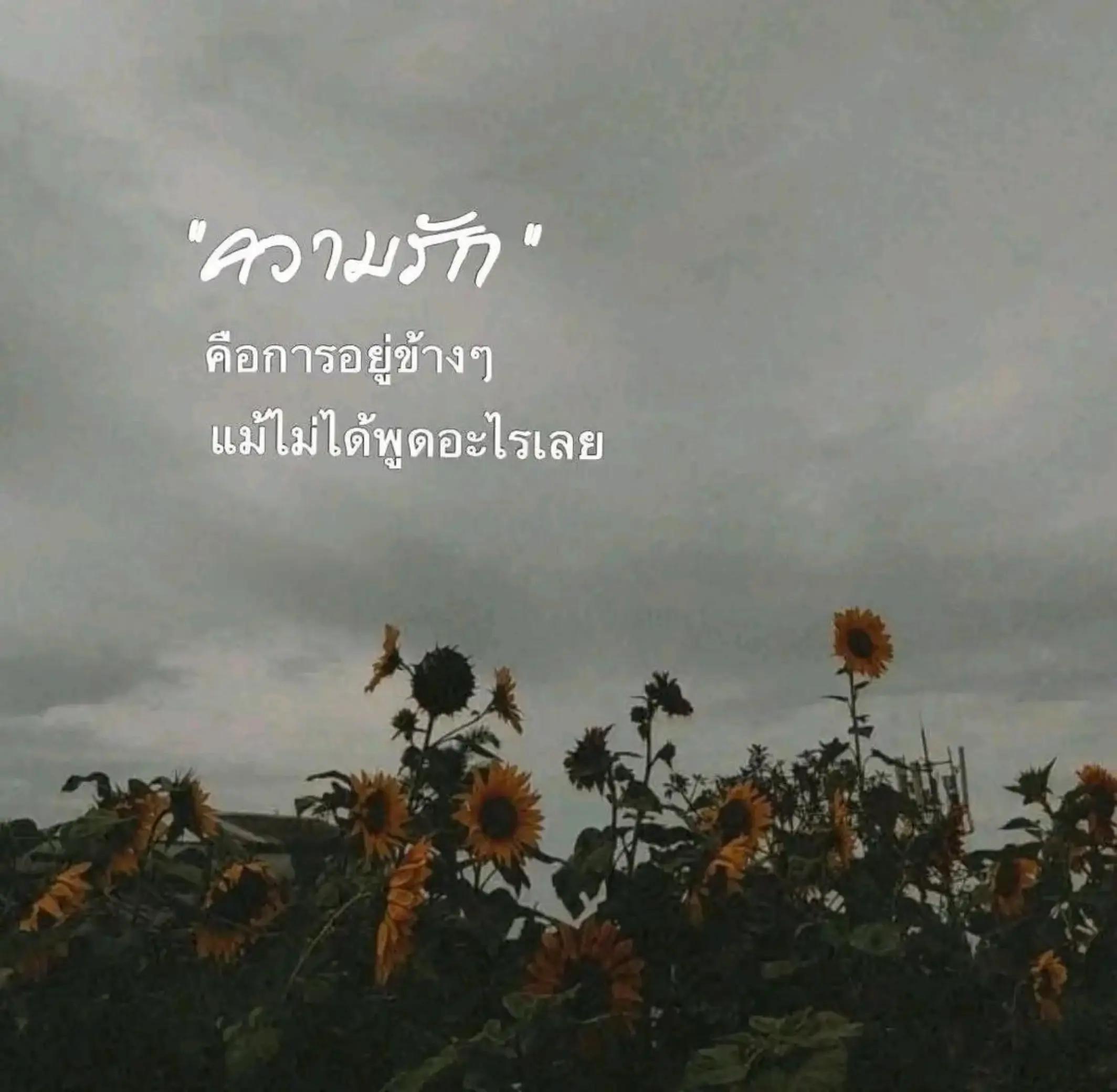 @"เ ลิ ก เ ศ ร้ า ไ ด้ แ ล้ ว"