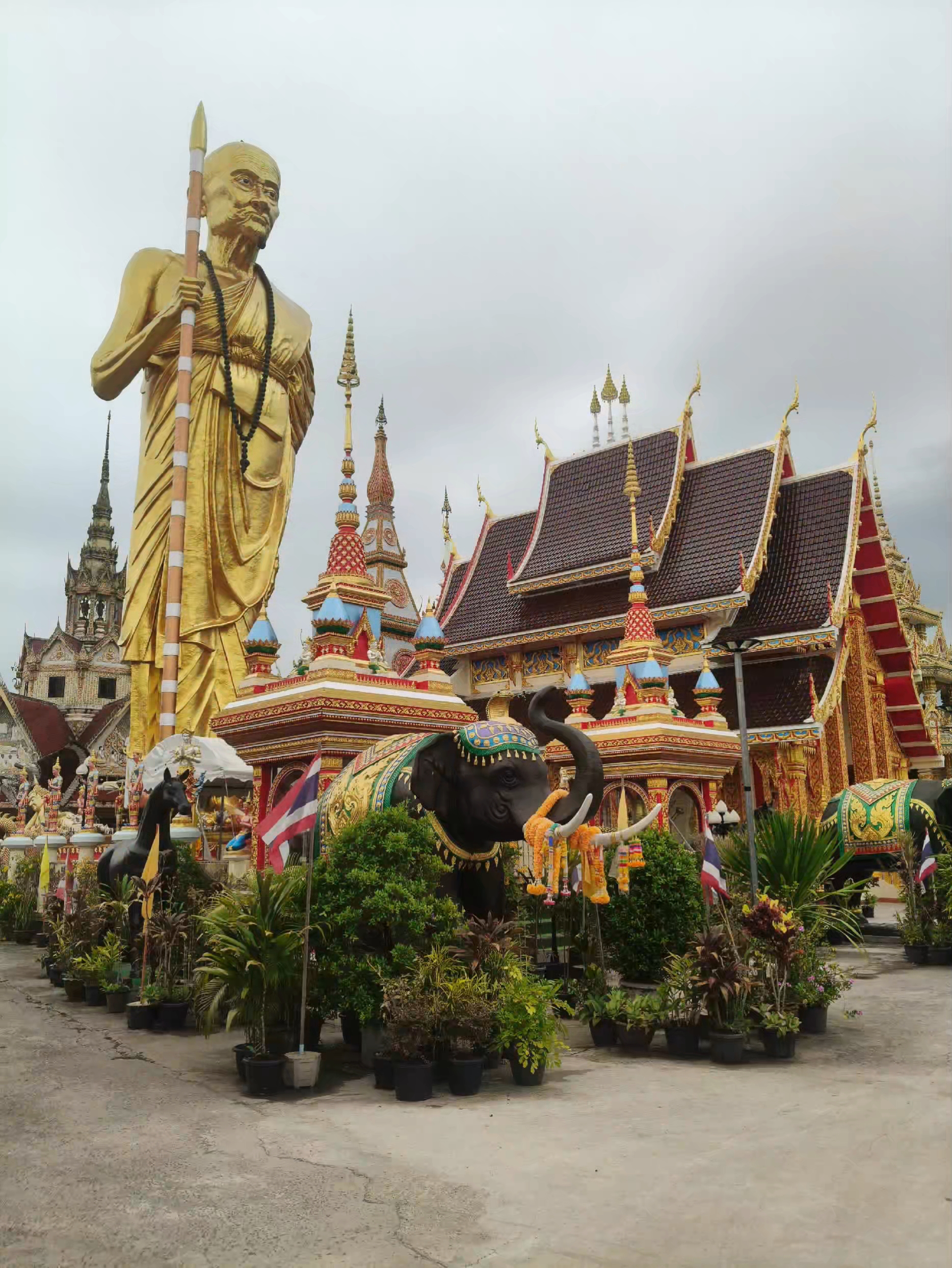 @วันนึ่งเดินเข้าป่าไม่ให้เธอไป