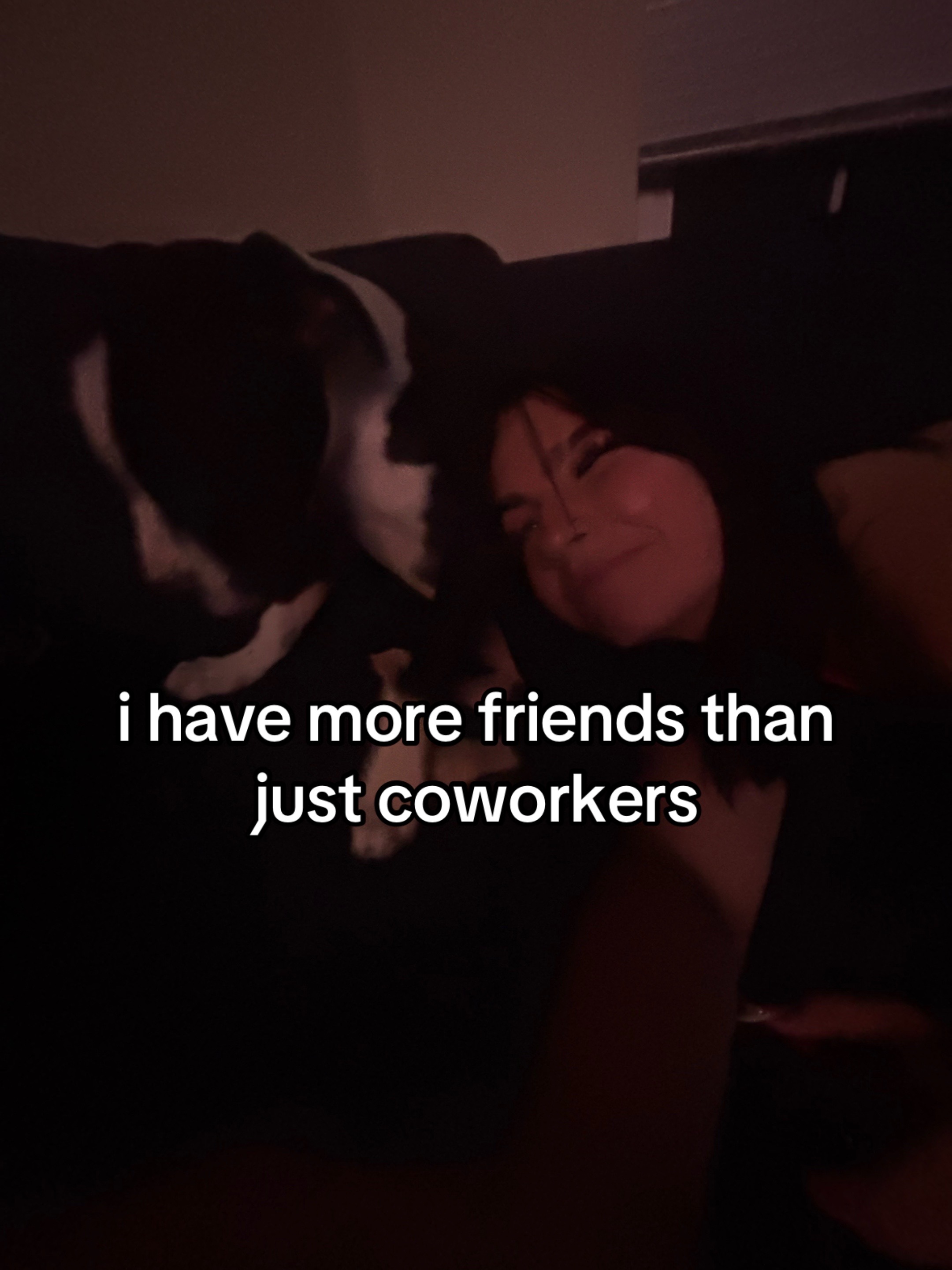 @allycat🐈⬛