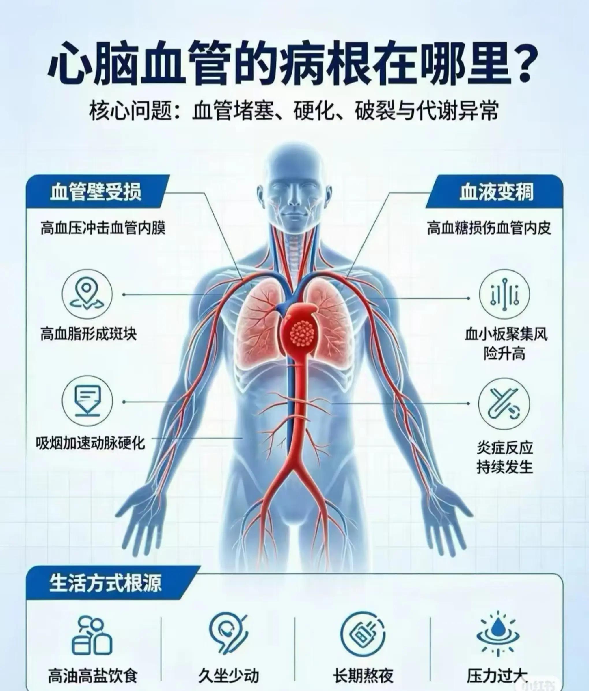 @suyin_wellnesscoach