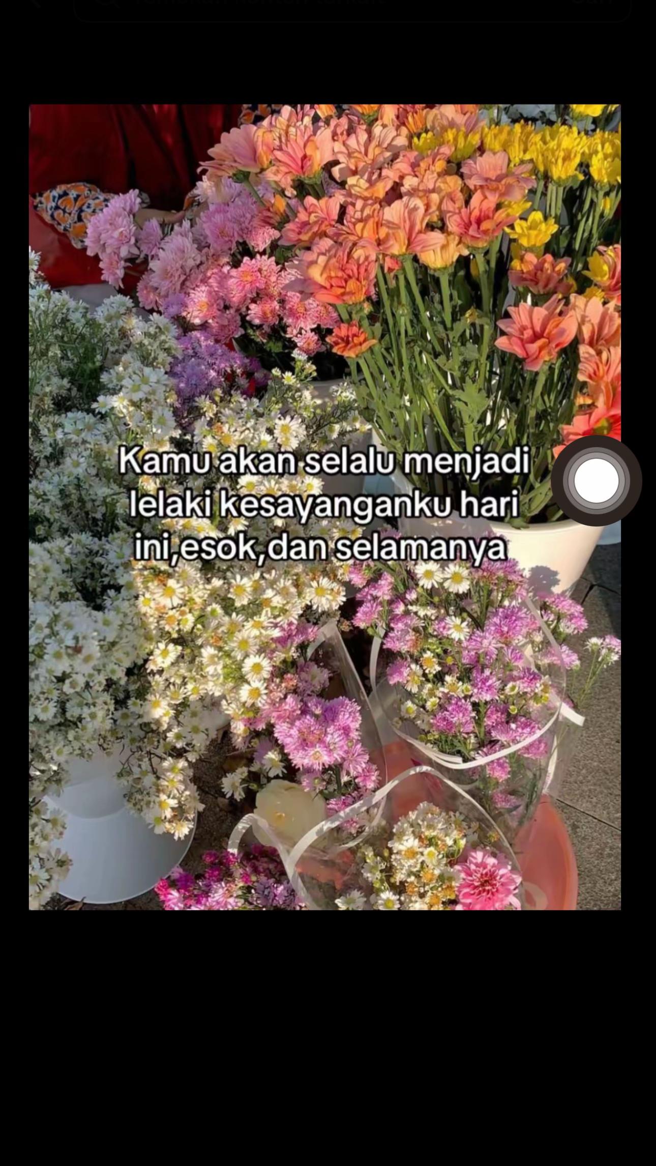 @Dekk_Tari🍒