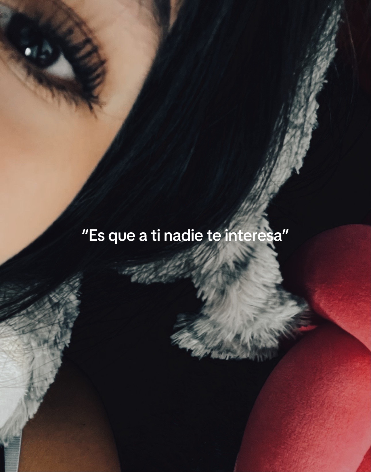 @Compartidos