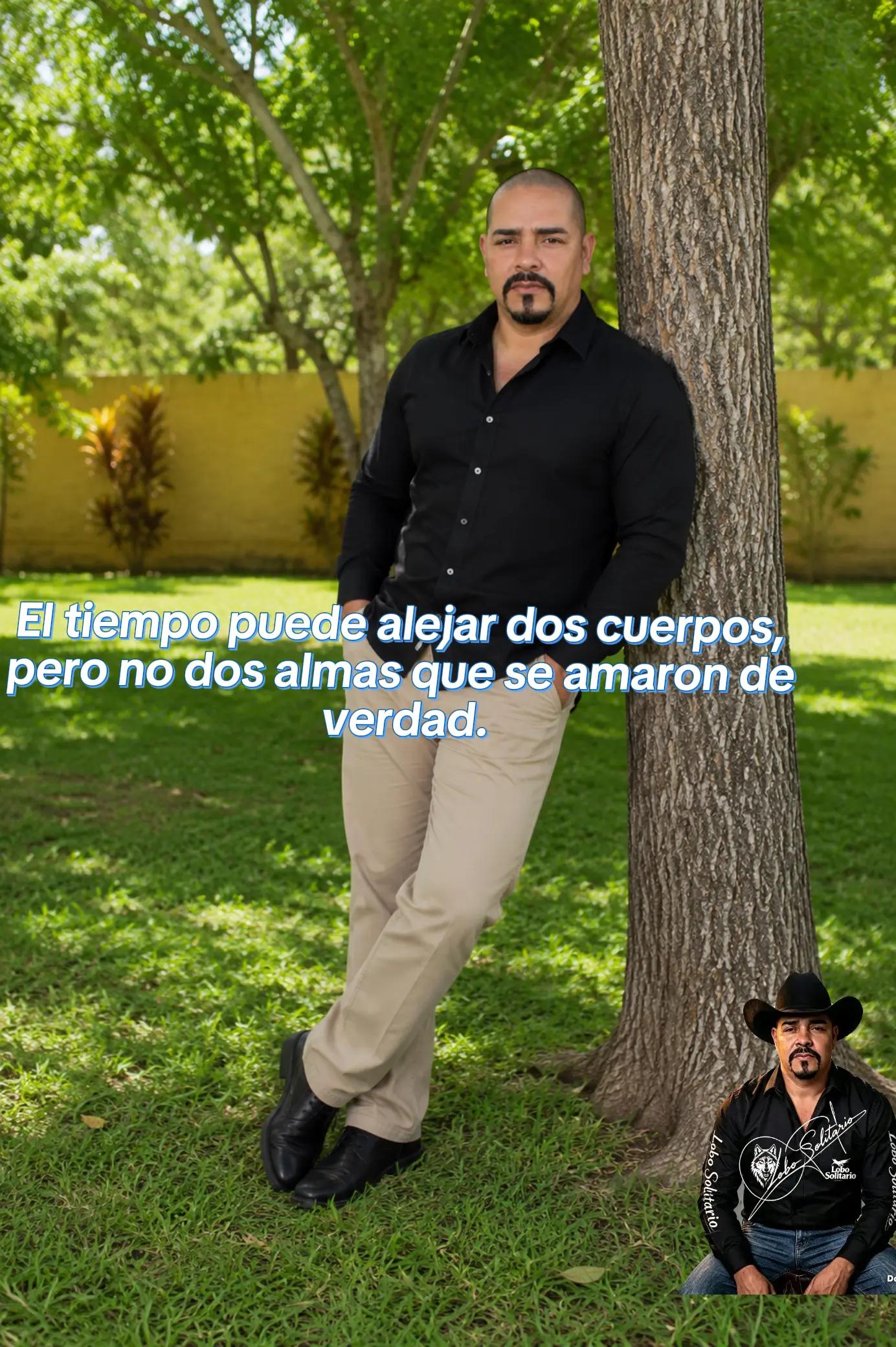 @G&M Lobo solitario