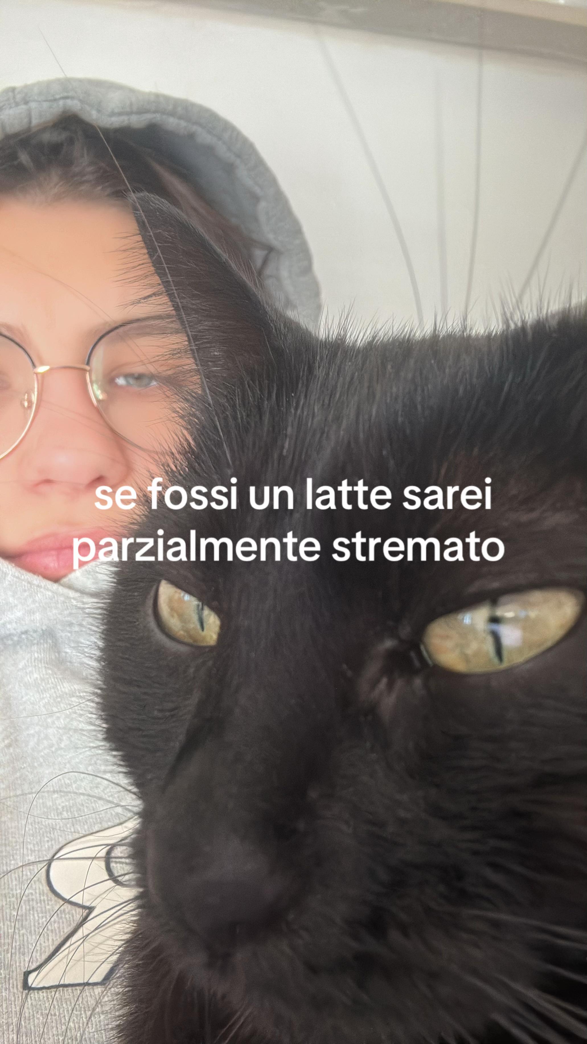 @jadranka