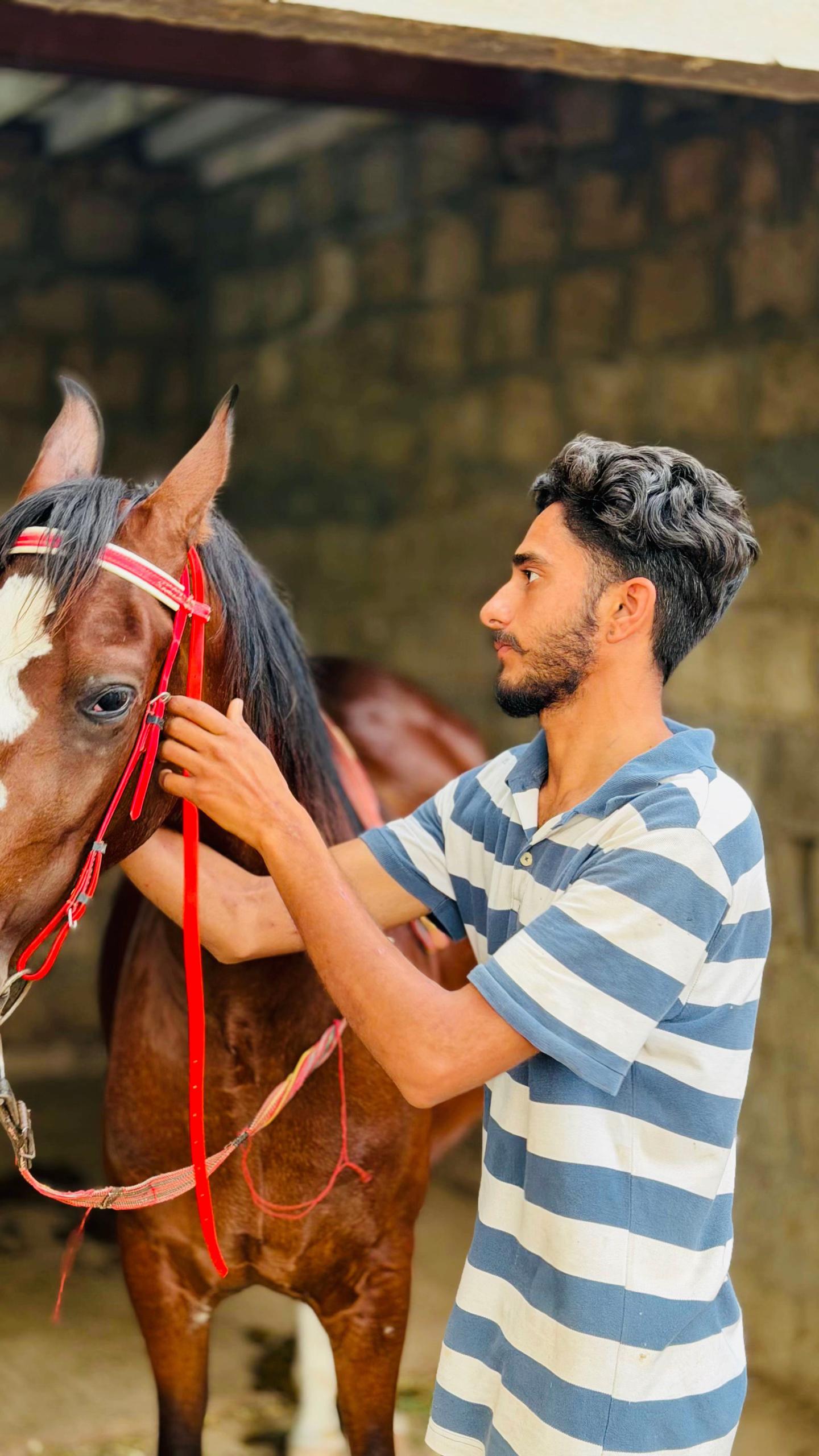 @Ch Hammad bokan ♥️🐎