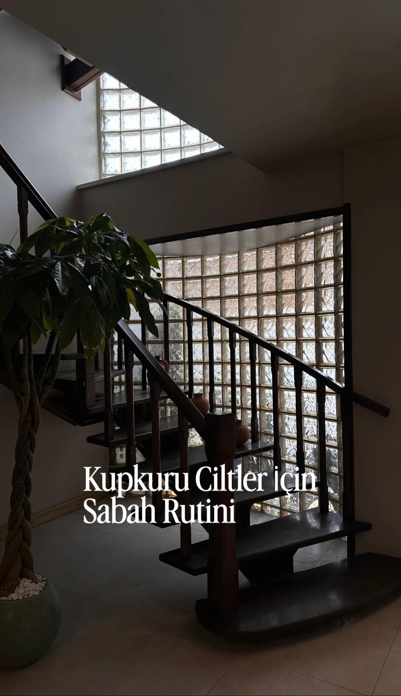 @kubrradan
