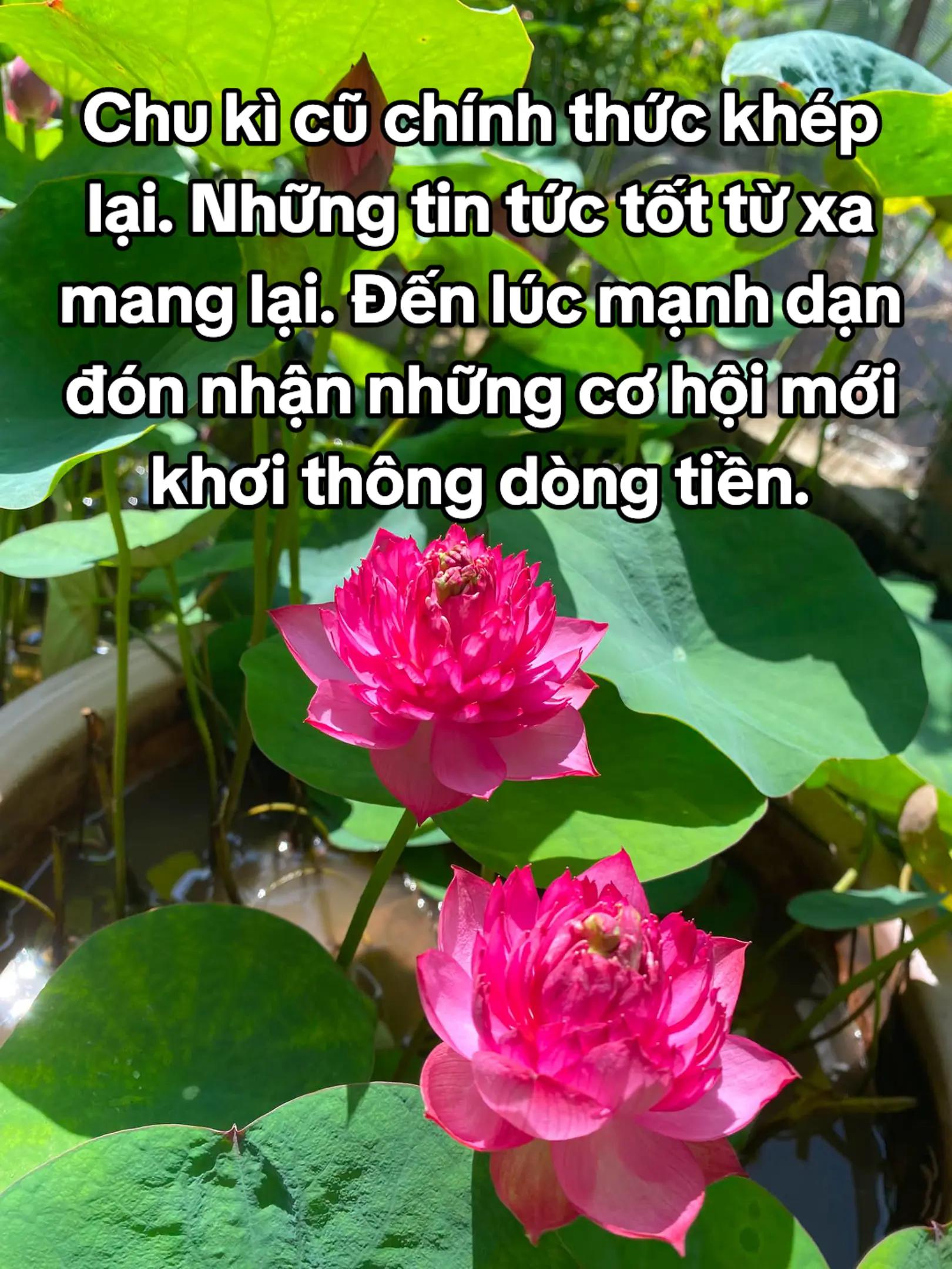 @HẢI TRUNG KIM.