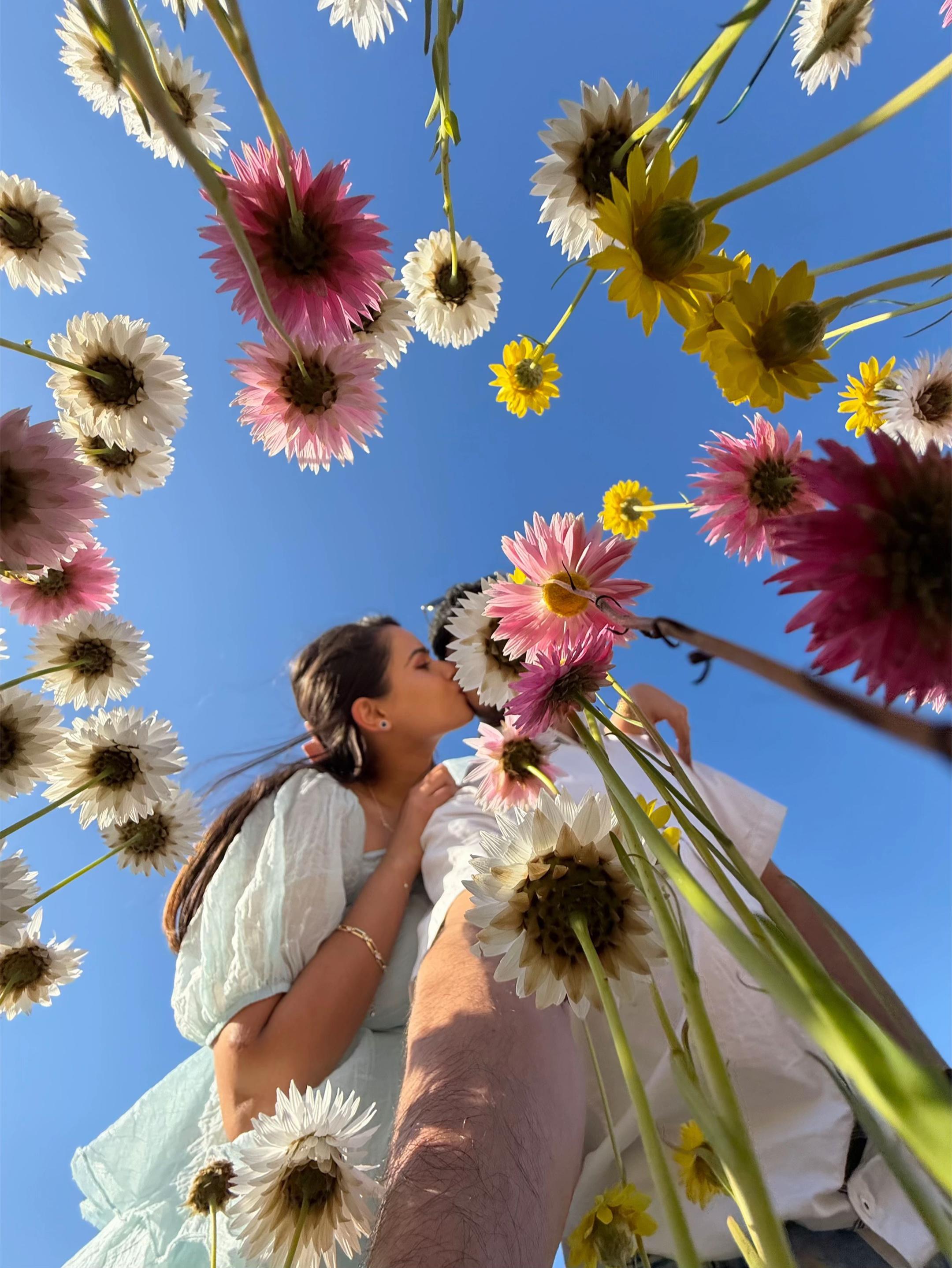 @Shrisha Bhandari