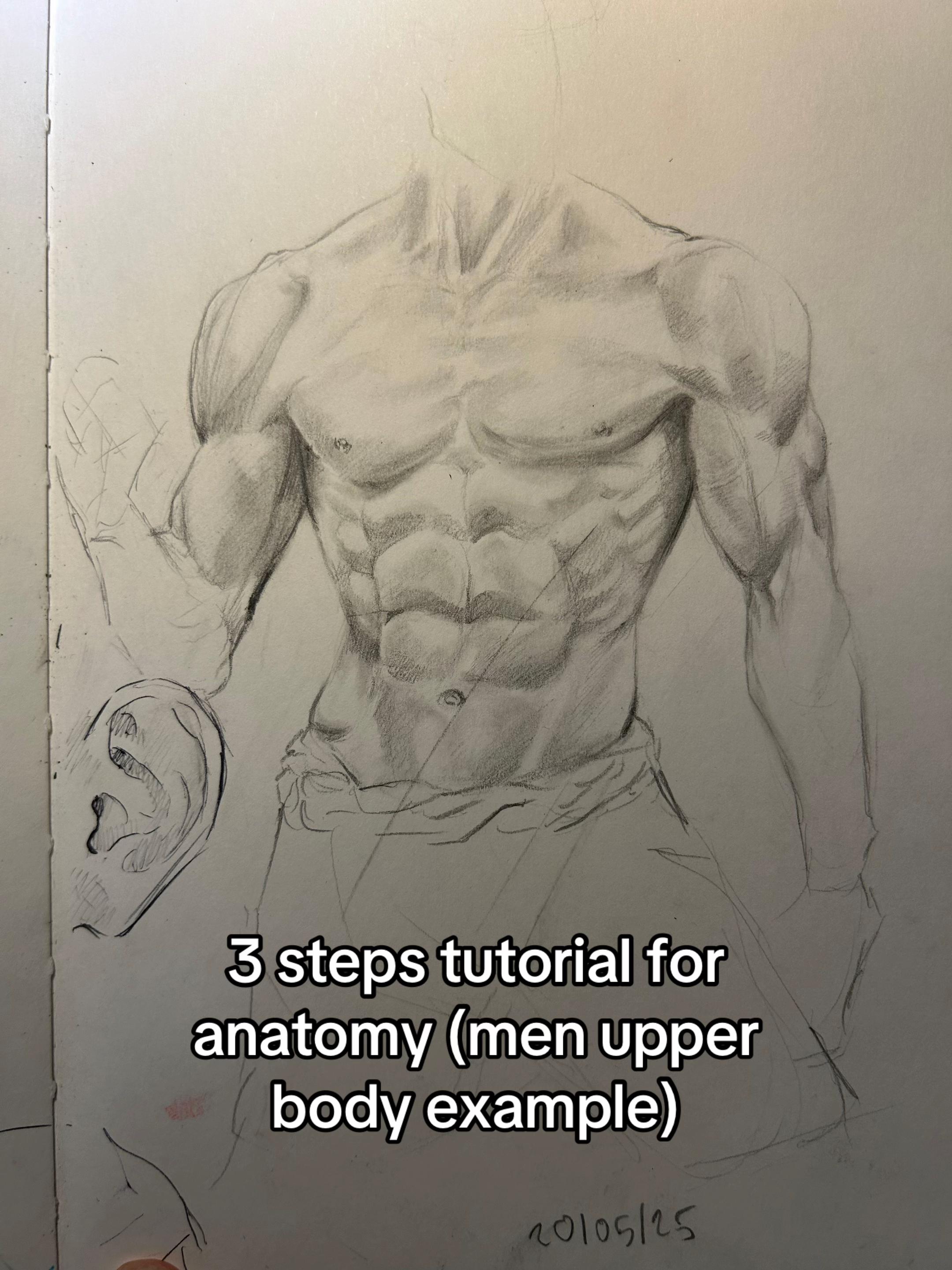 @scnx.arts