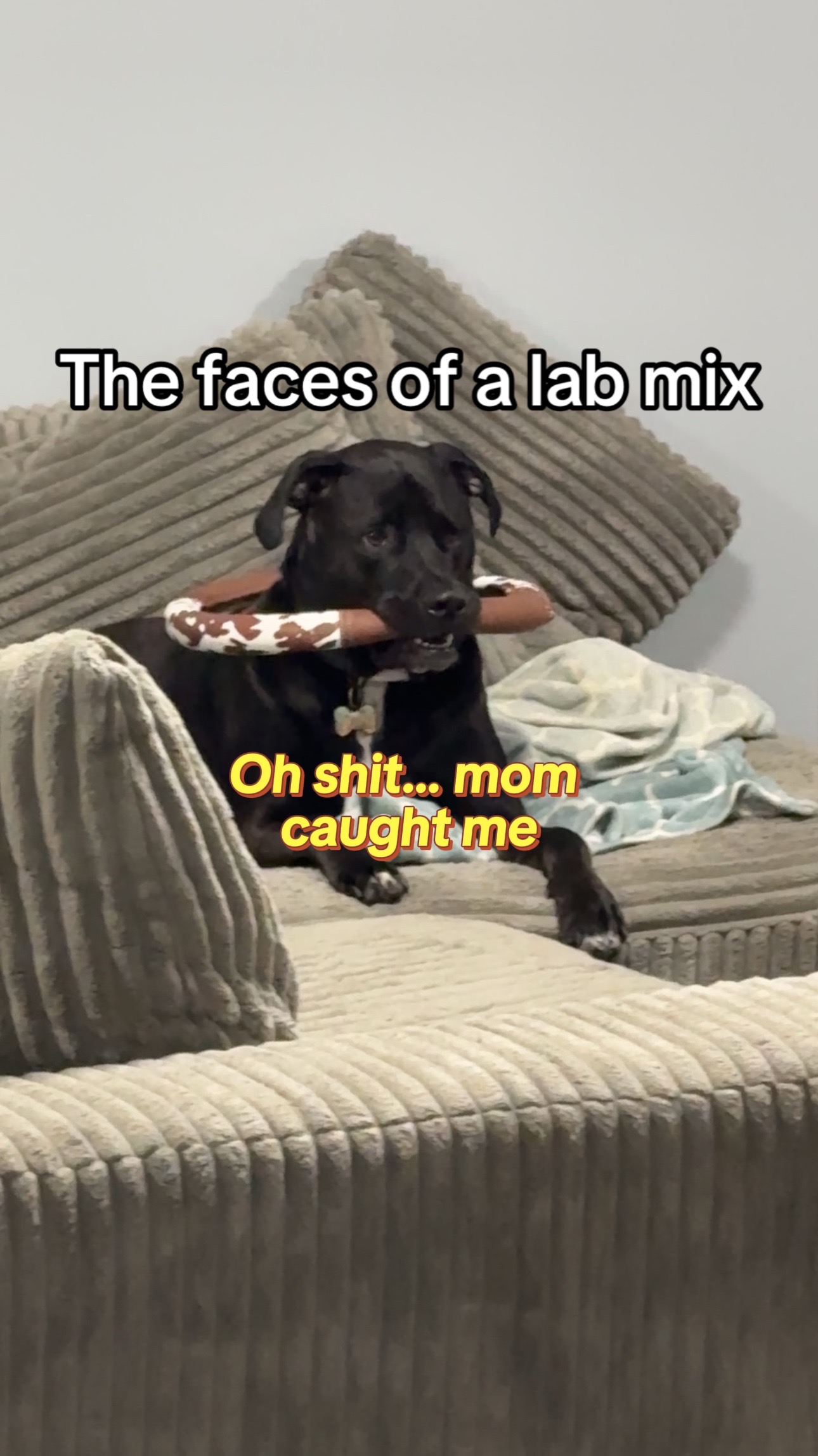 @Kaitlyn