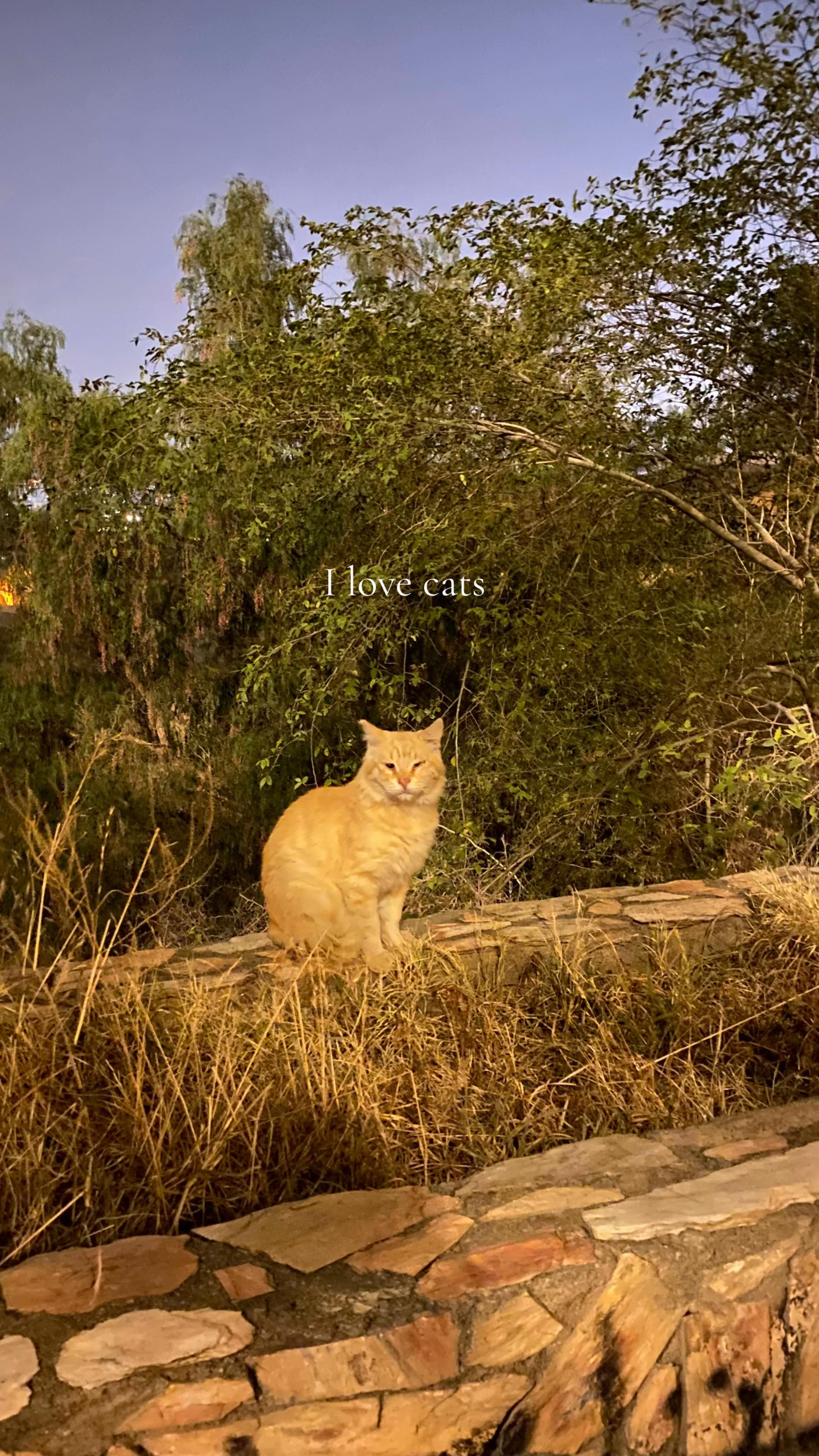 @س س س س