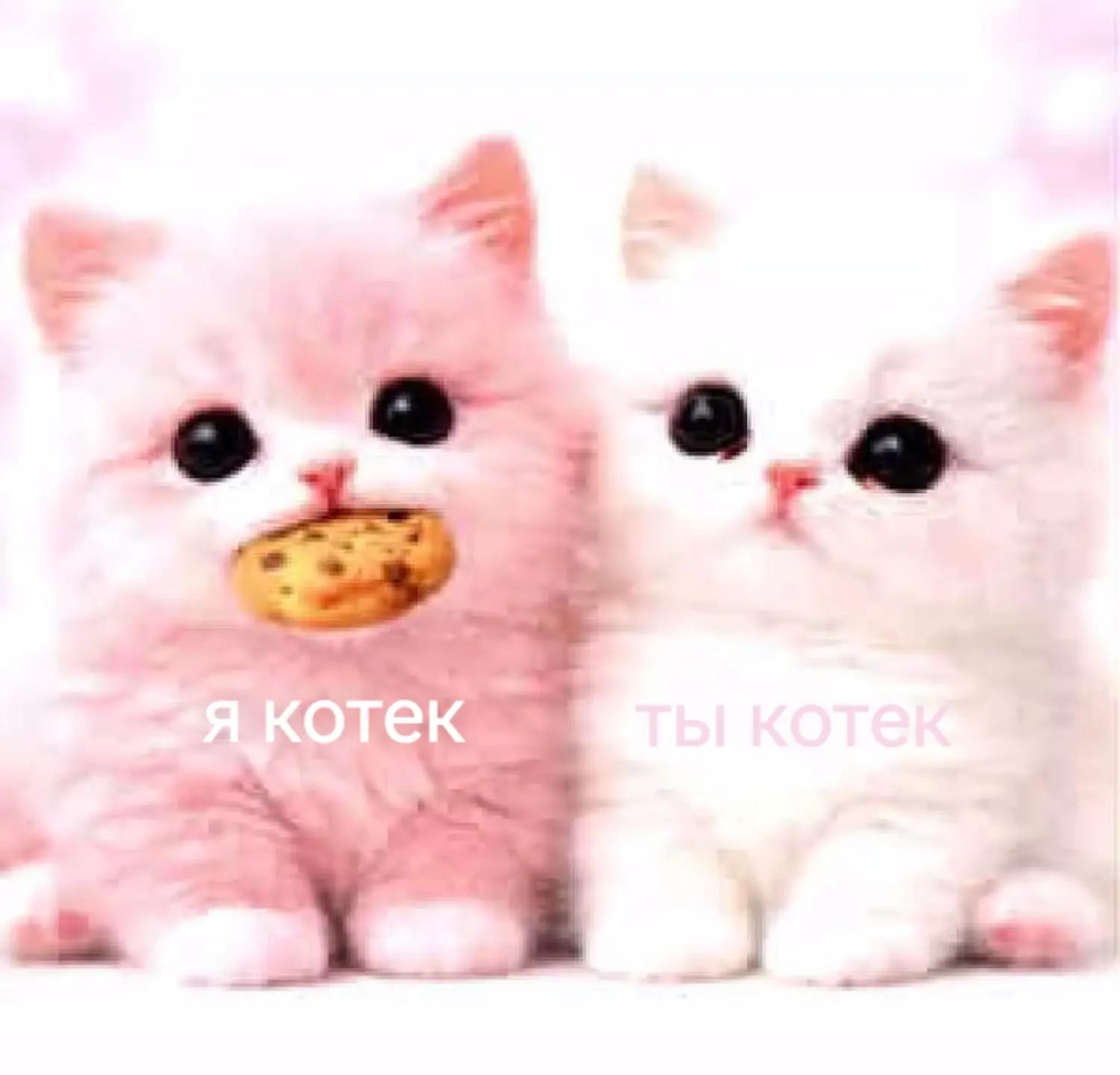 @пузатая нися