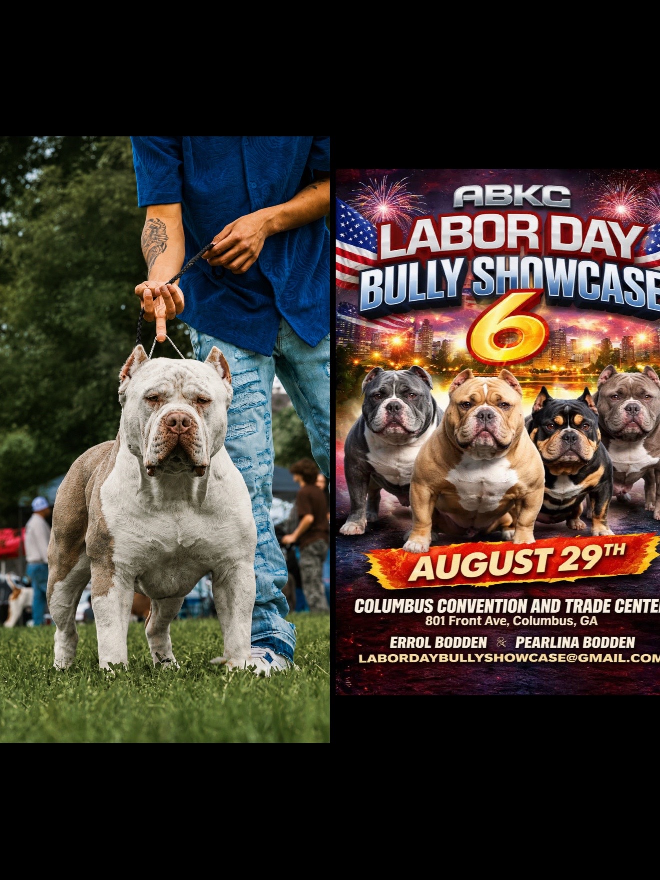 @Dtx_dogkennels