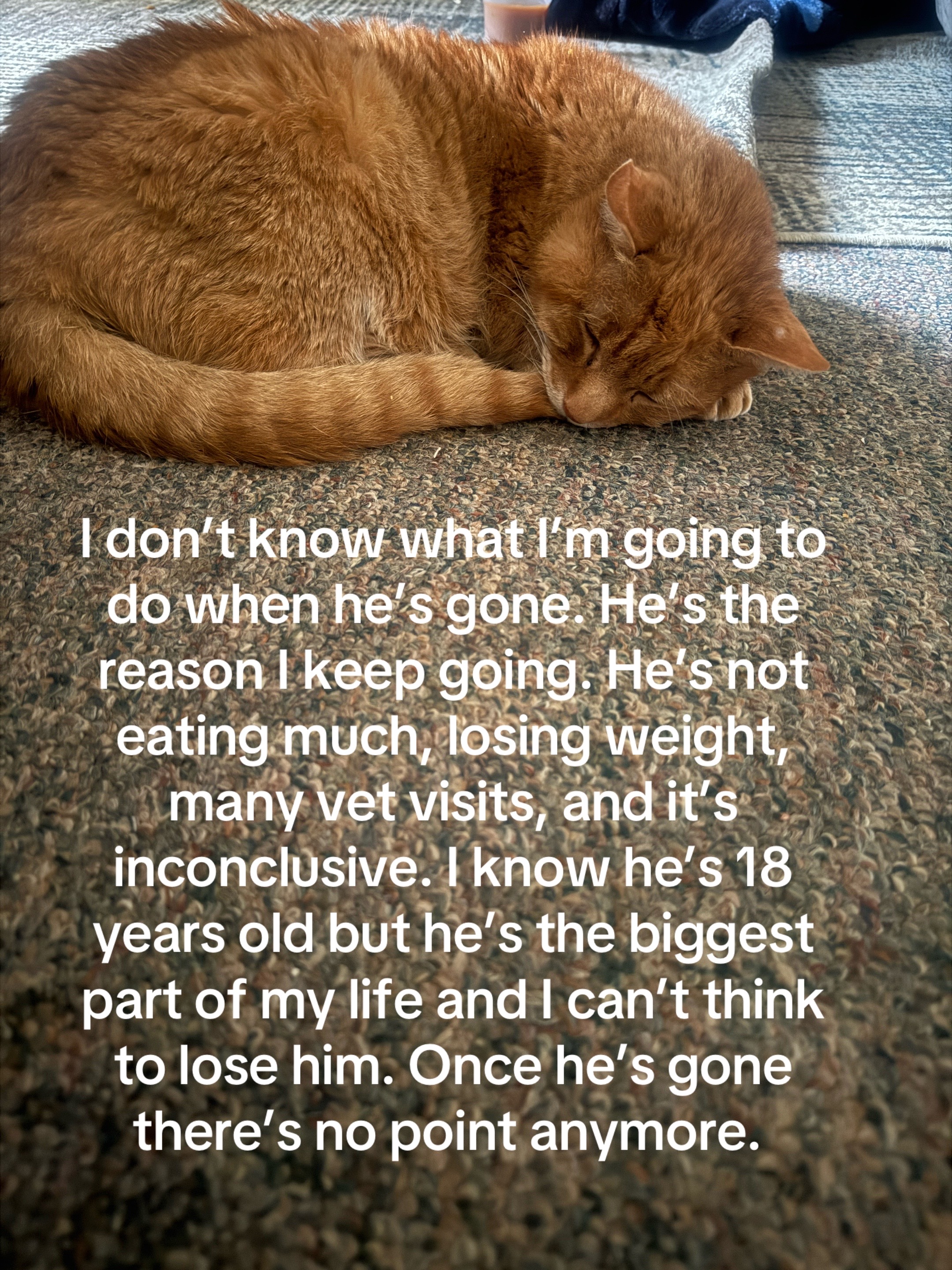 @Hannah ๐