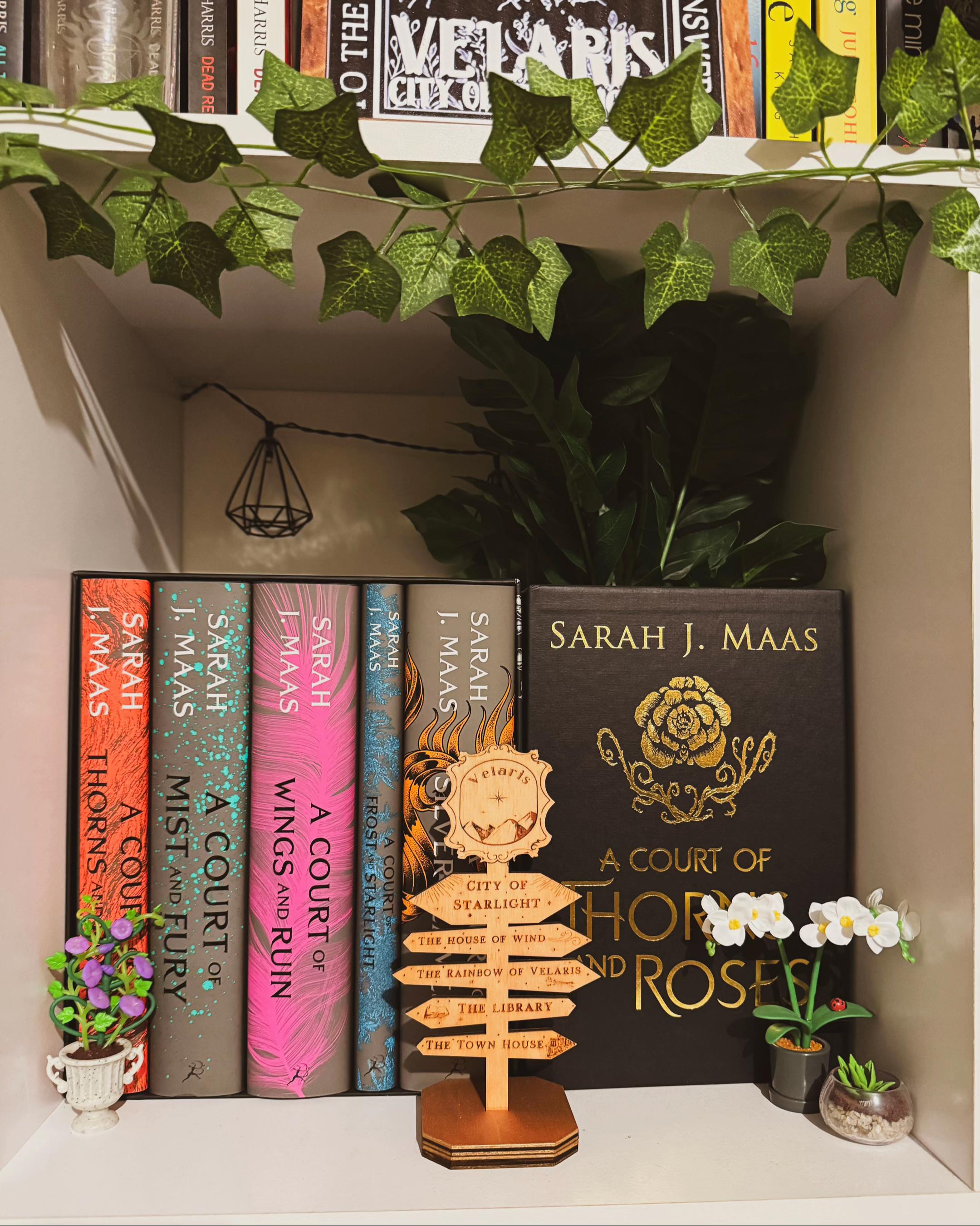 @✨🍄Danis_Bookshelf_📖✨