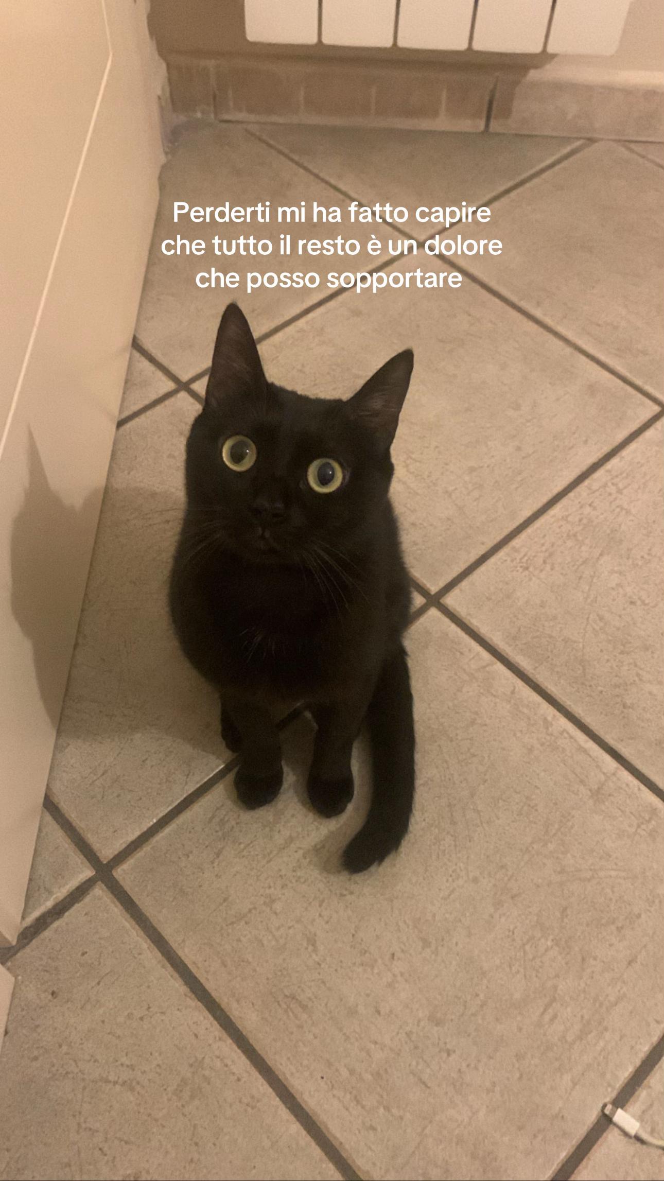 @𝐁𝐞𝐛𝐞𝐜𝐢𝐭𝐚
