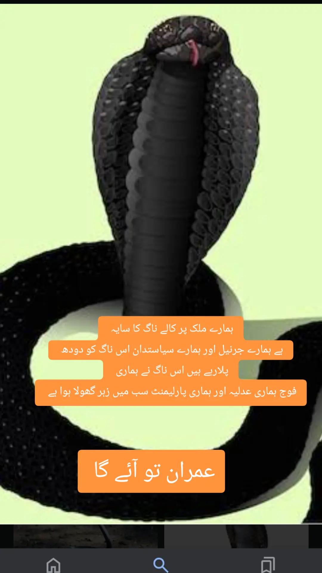 @Sabir