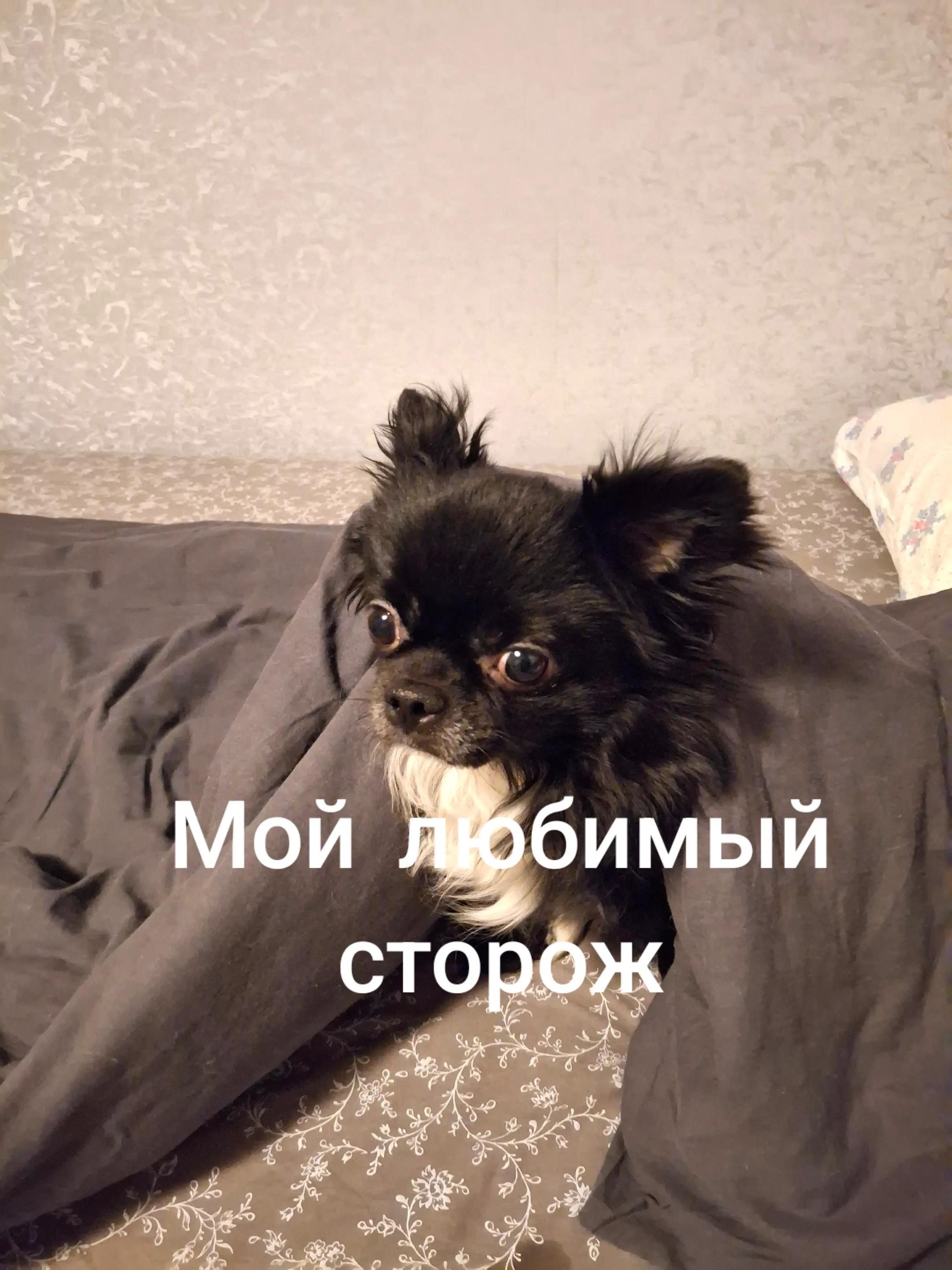 @Milus53