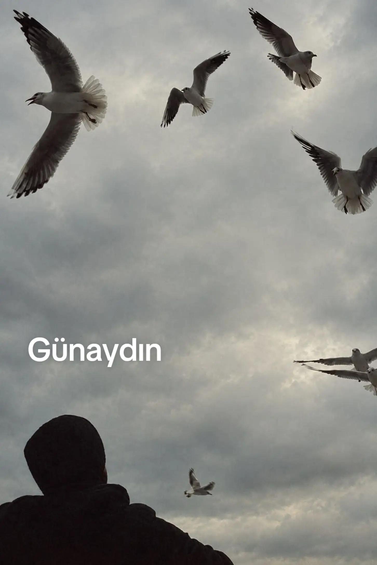 @Ali gül