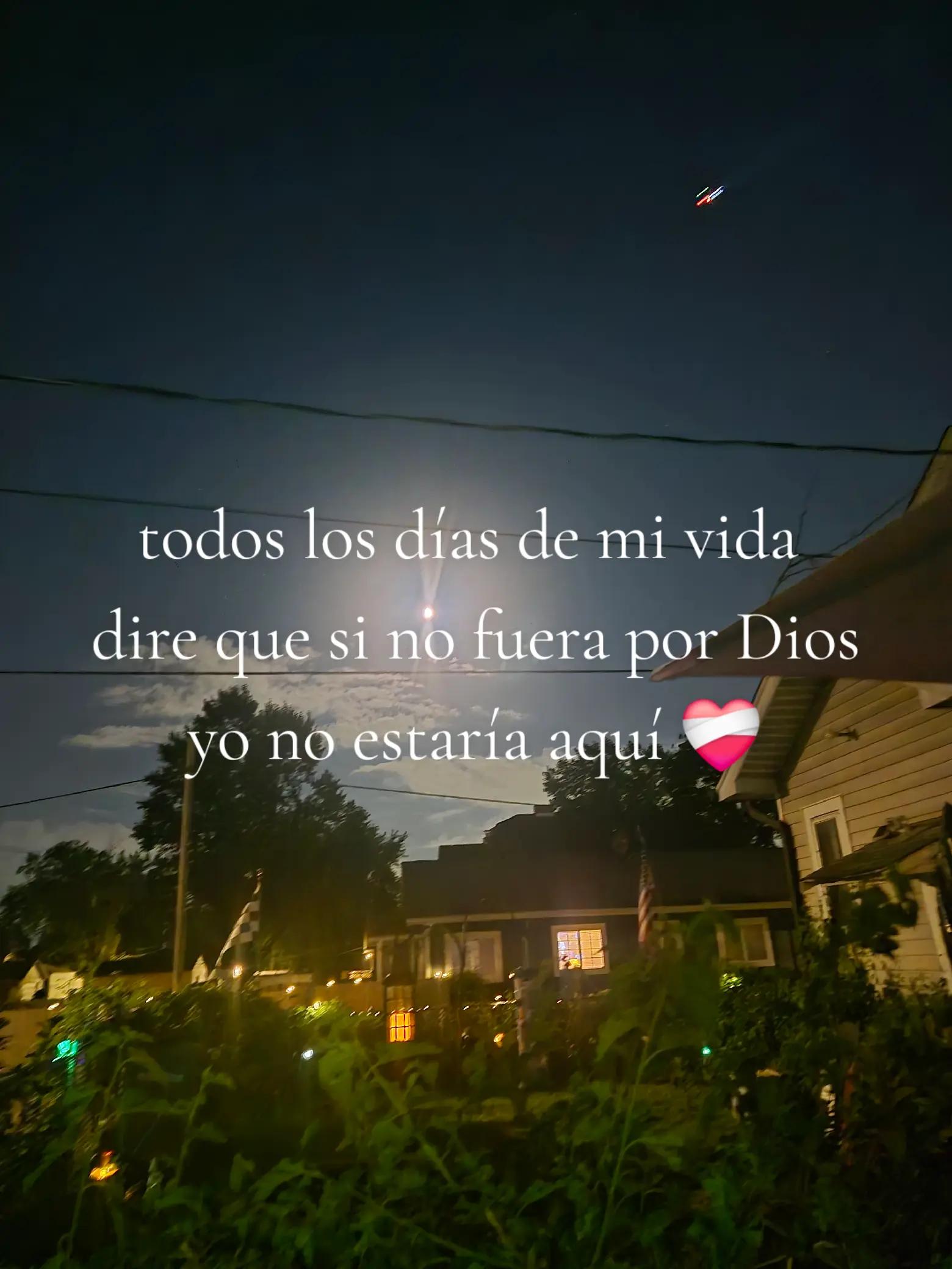 @Leti Davila535