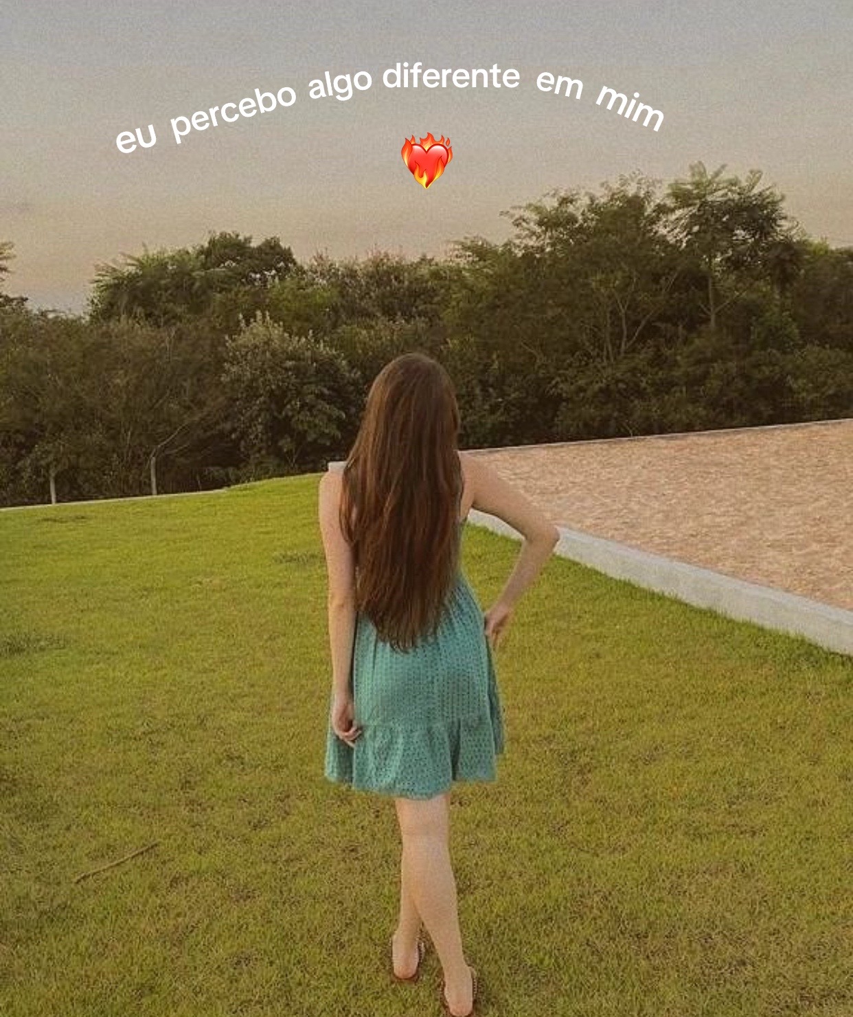 @Anna Luiza Bordini
