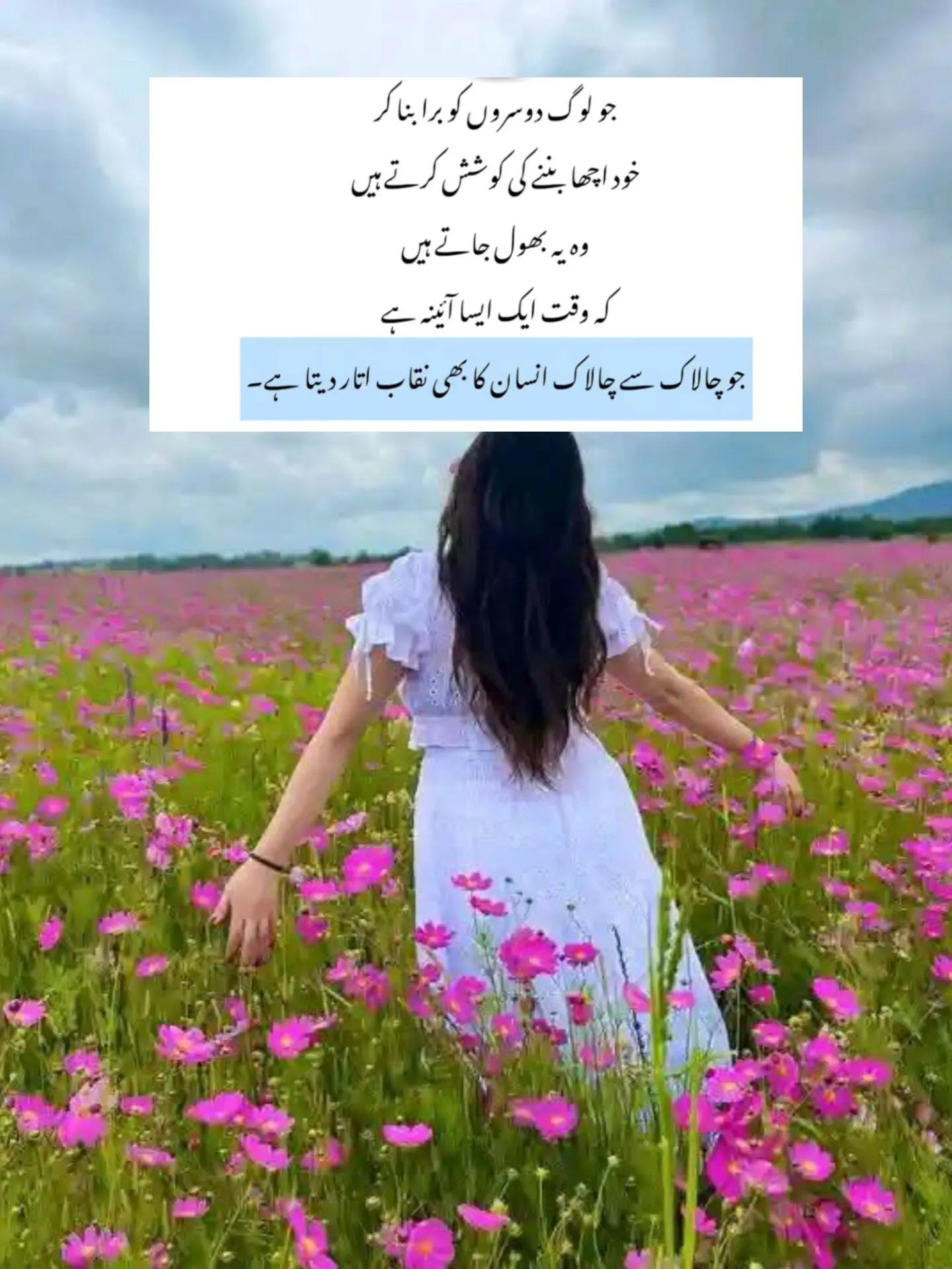 @Fariha Hassaan❤️