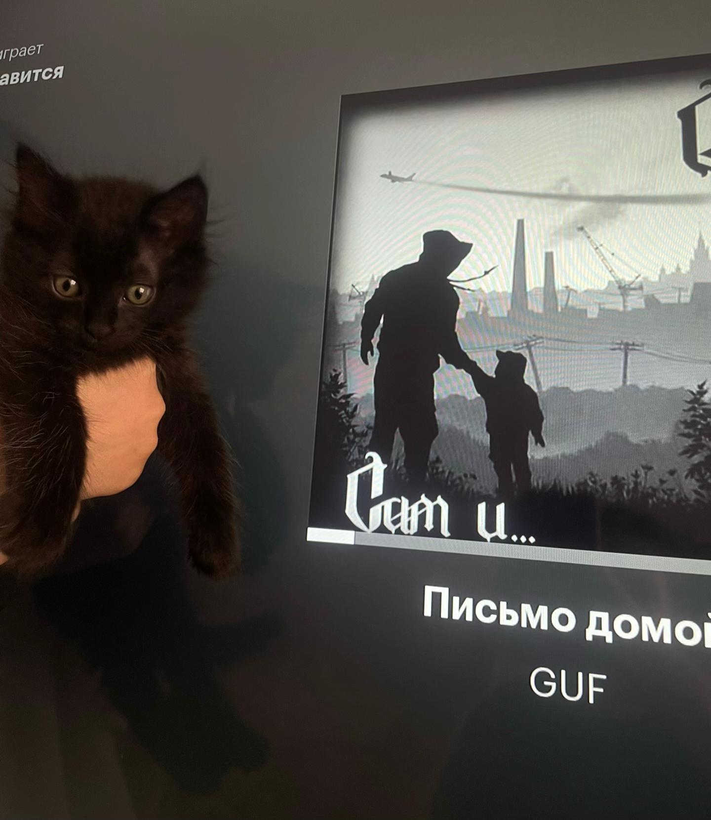 @Макеева🐾