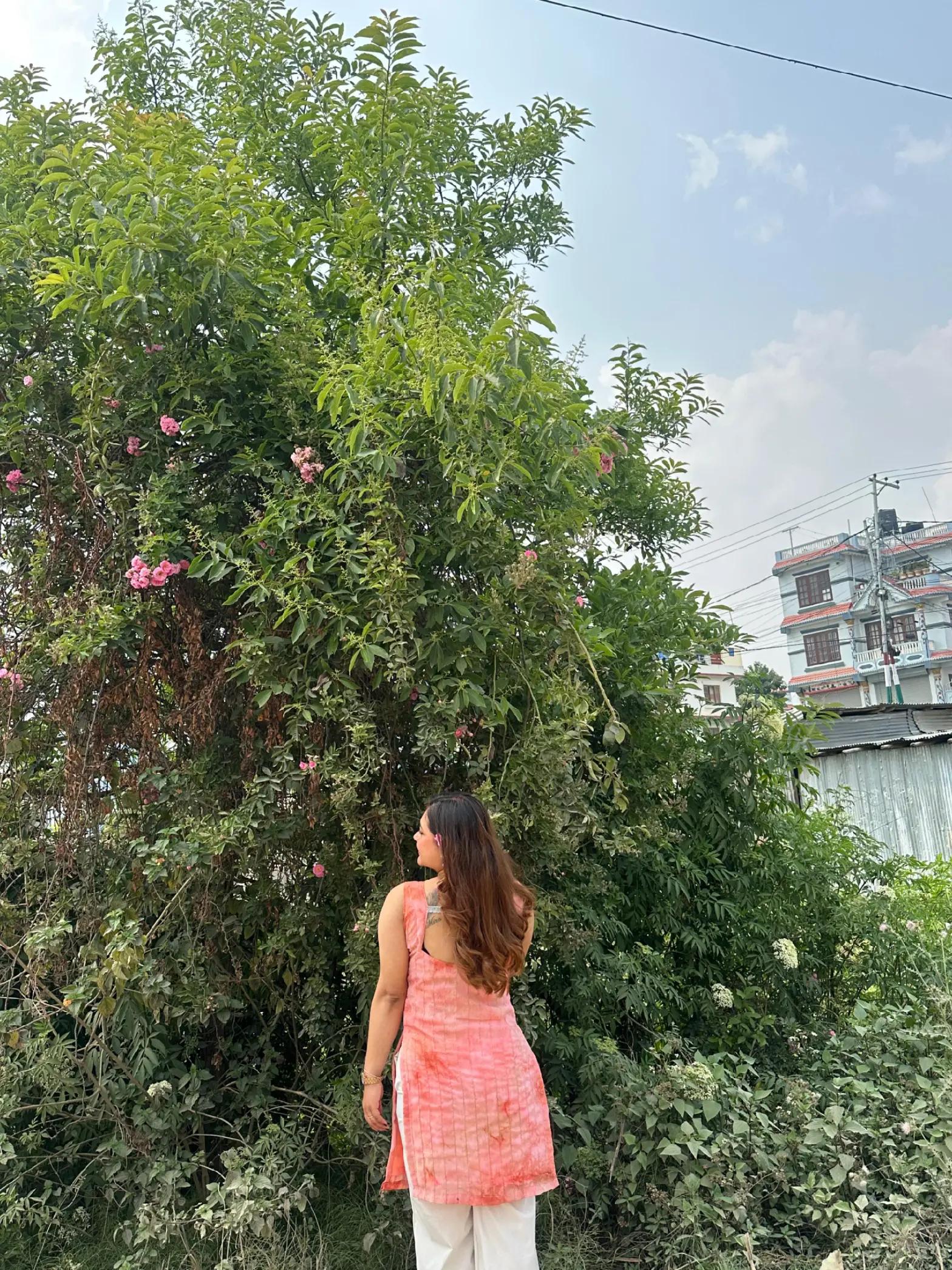 @Mira Lamichhane ❤️
