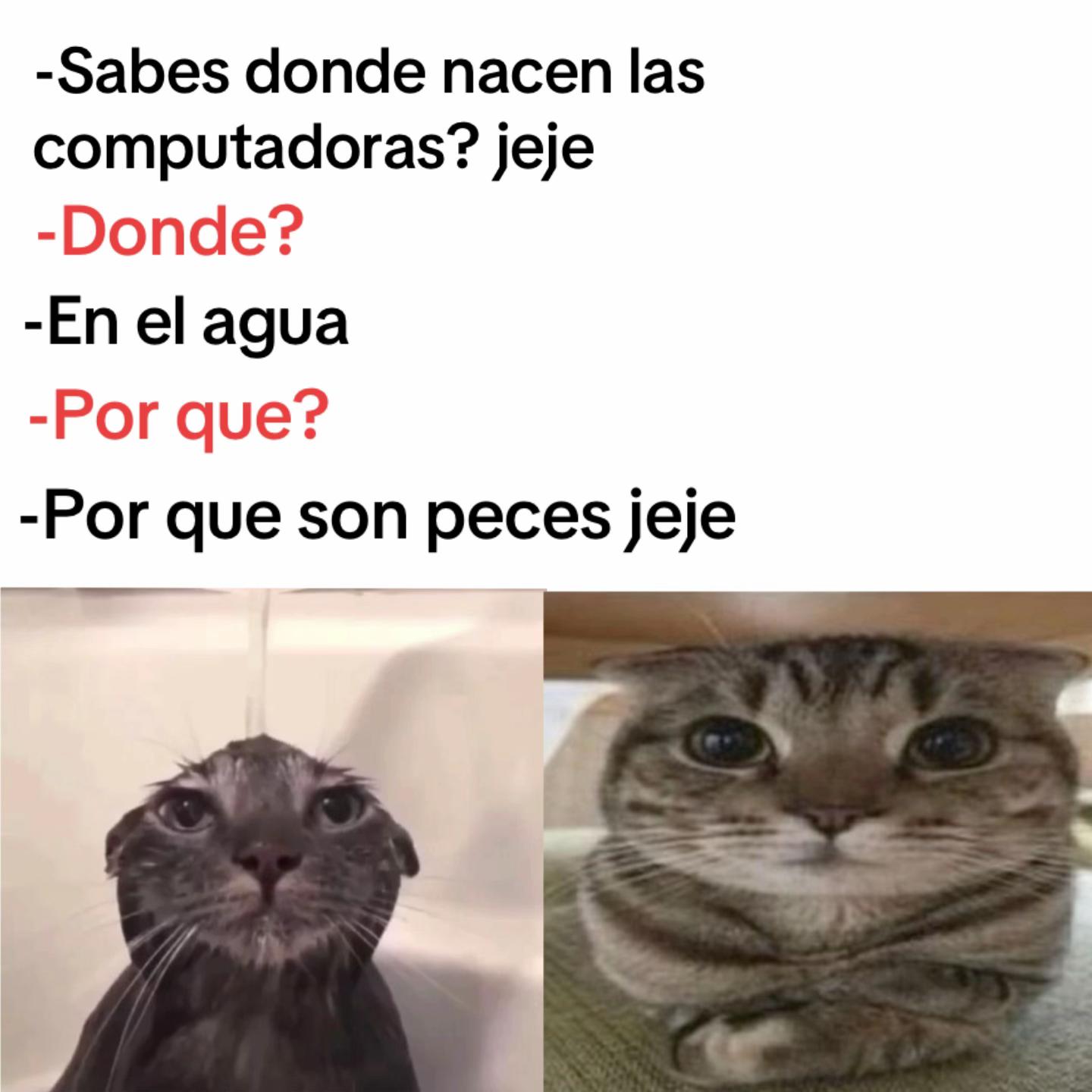 @momazosnegromarronjeje