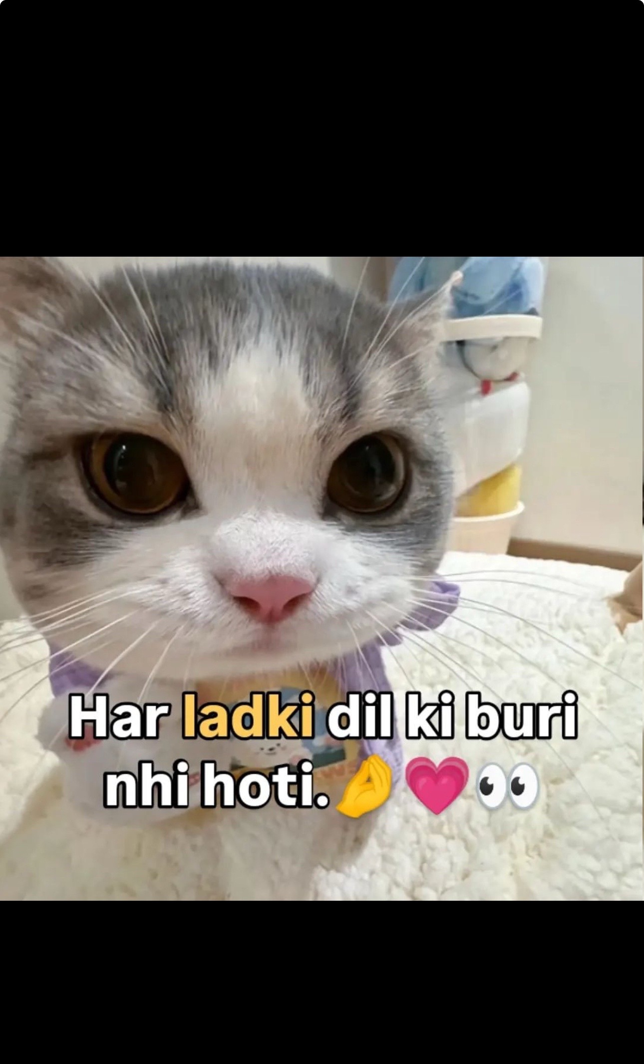 @Znb