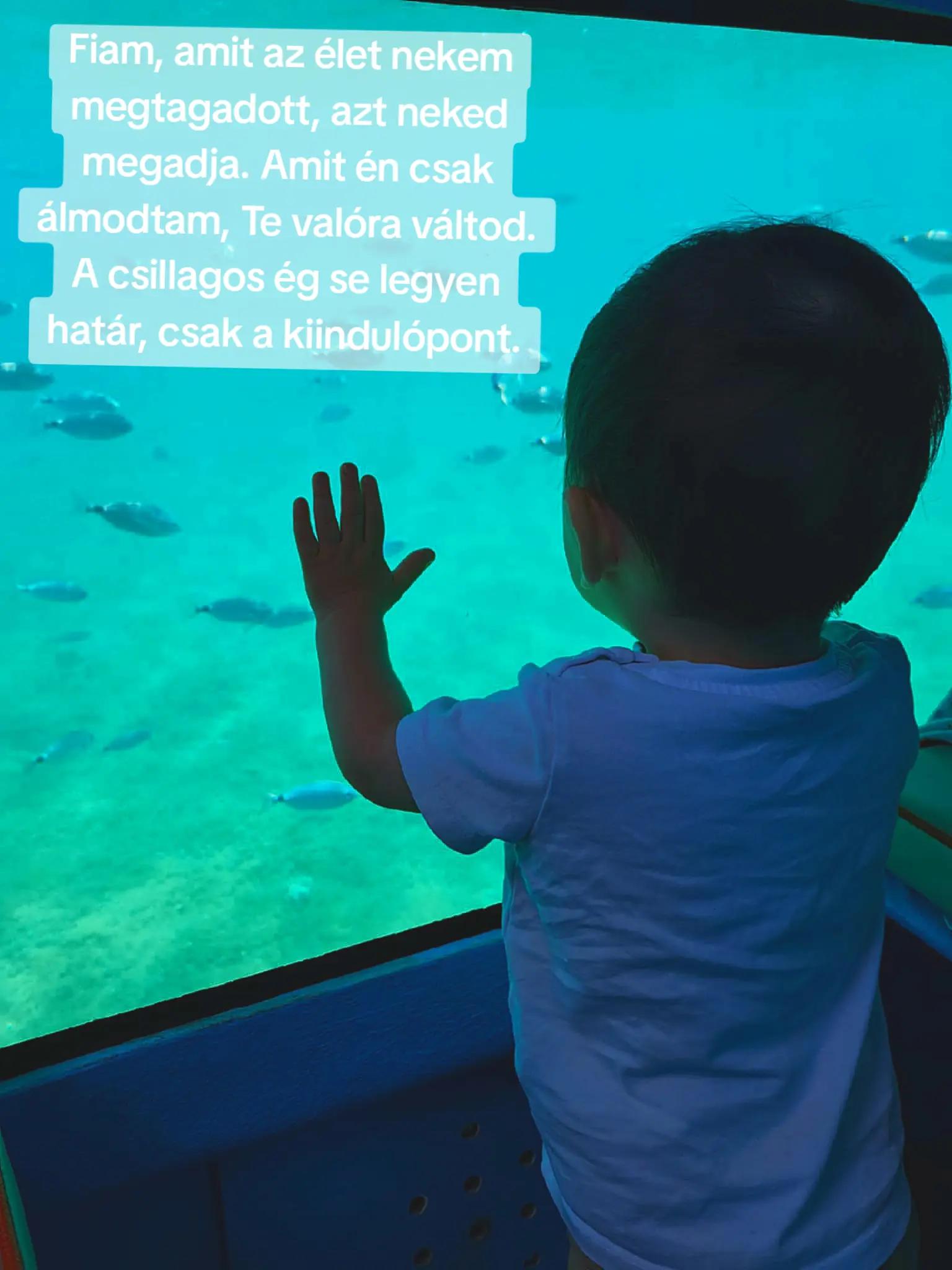 @Juhász-Rudnai Kíra