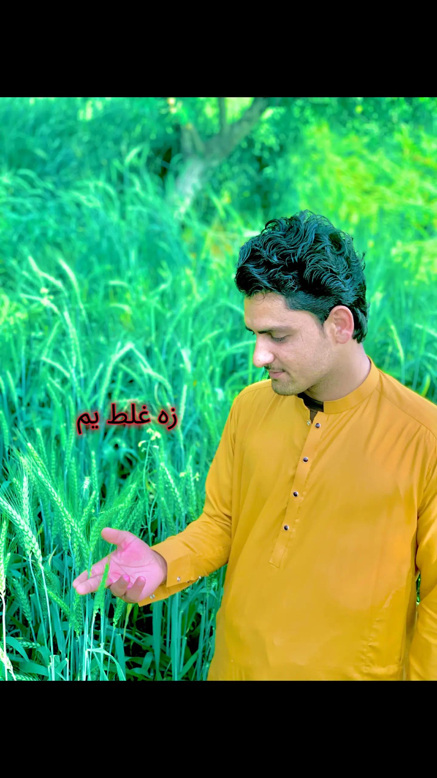 @GHAMJAN