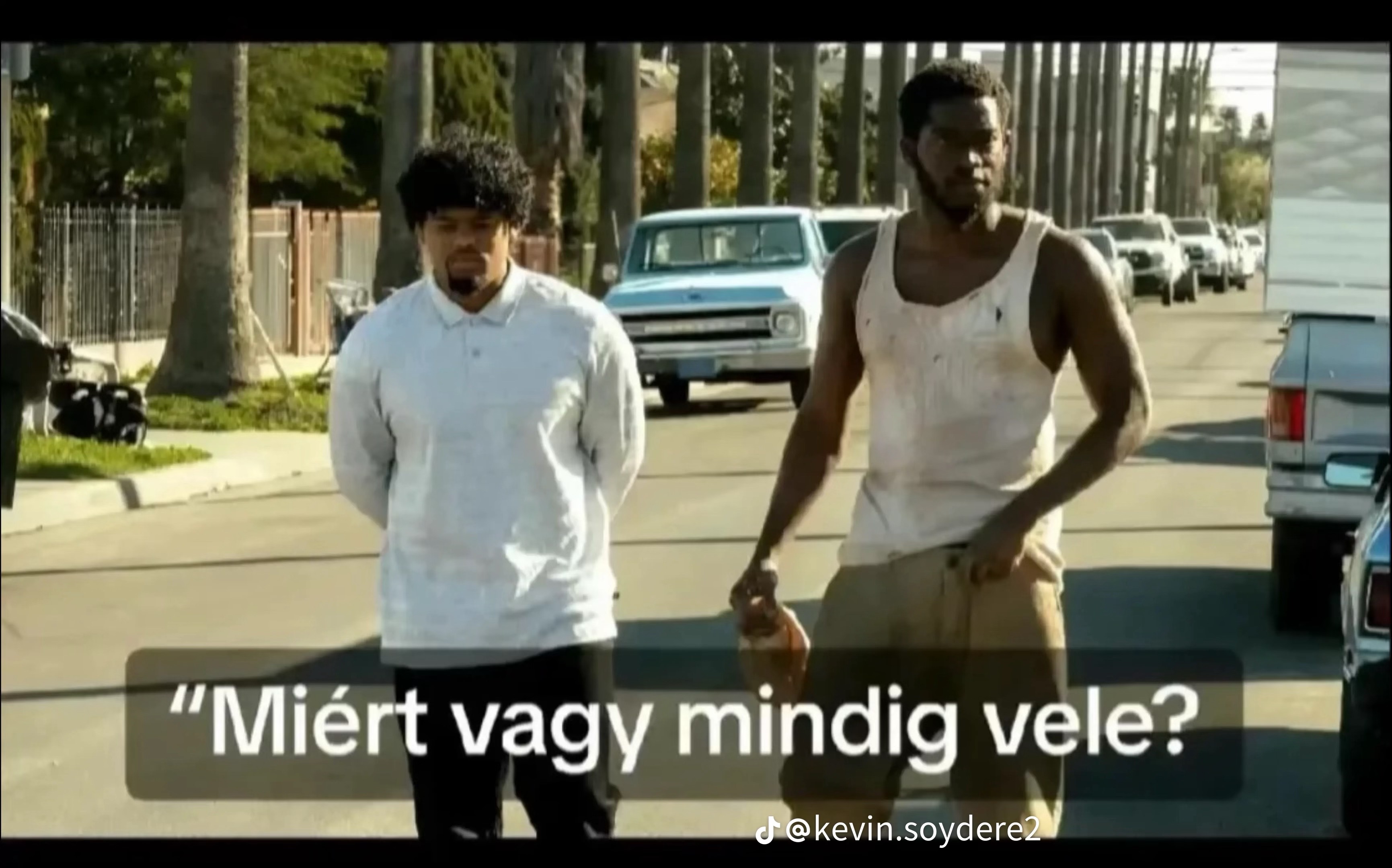 @Dzsenifer Suha