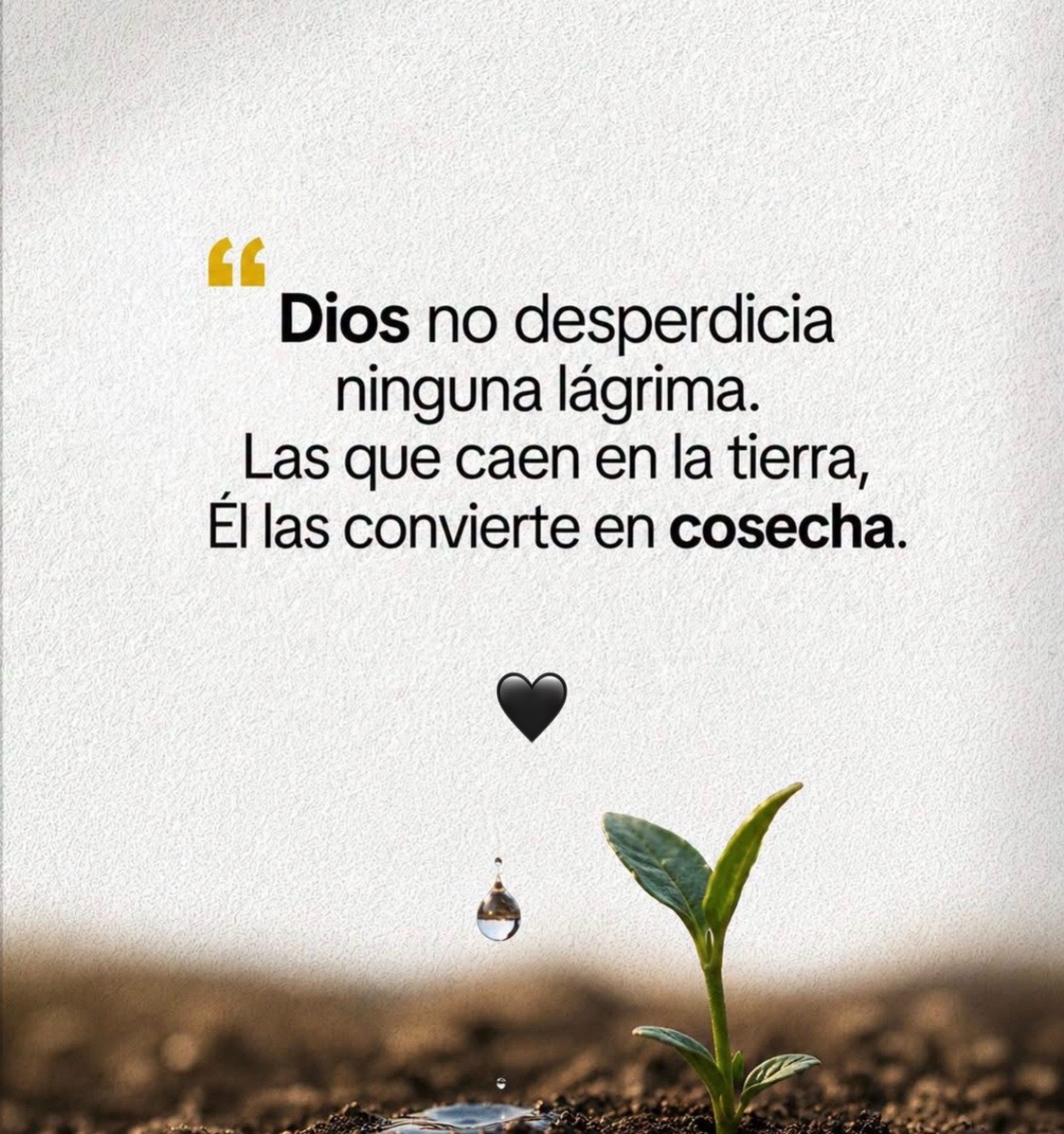 @Irma Hern&aacute;ndez
