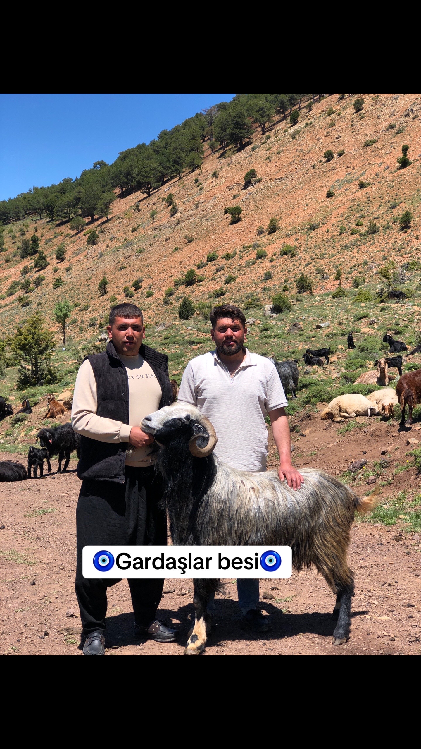 @ALİ AKKAŞ