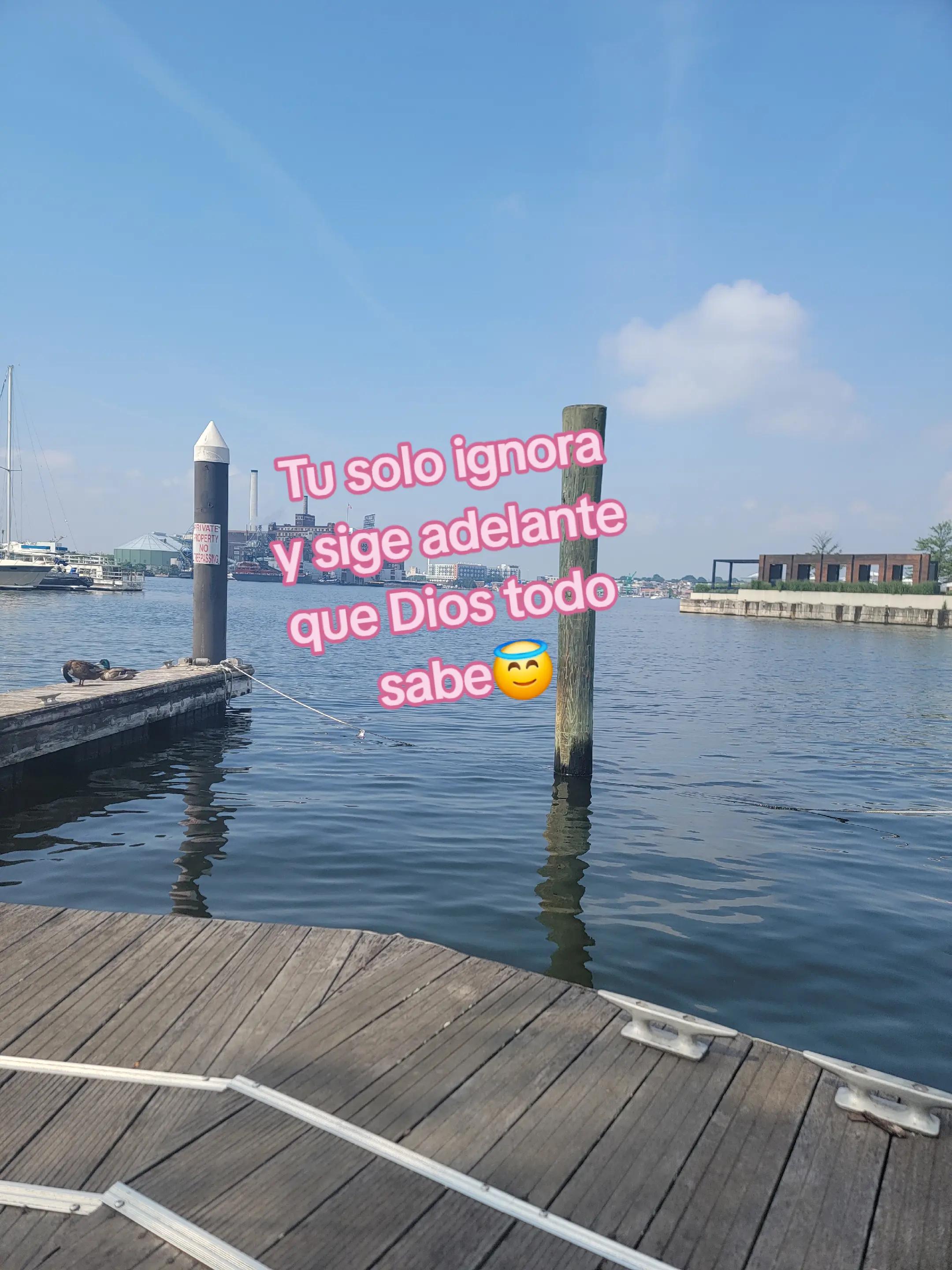 @🦋❤️&zwj;🩹Dalma Naranza 🖤🕊🫂🙏