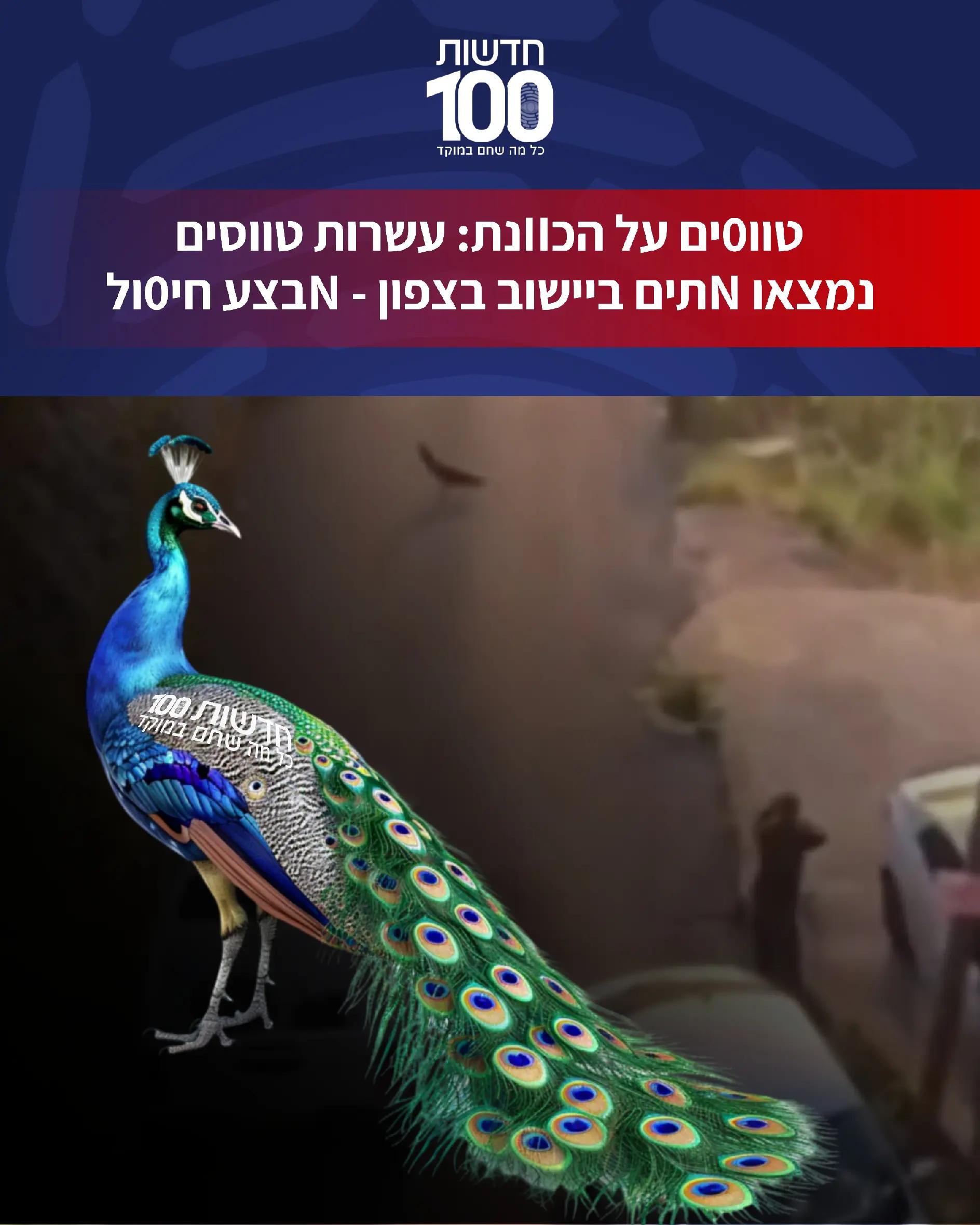 @News100