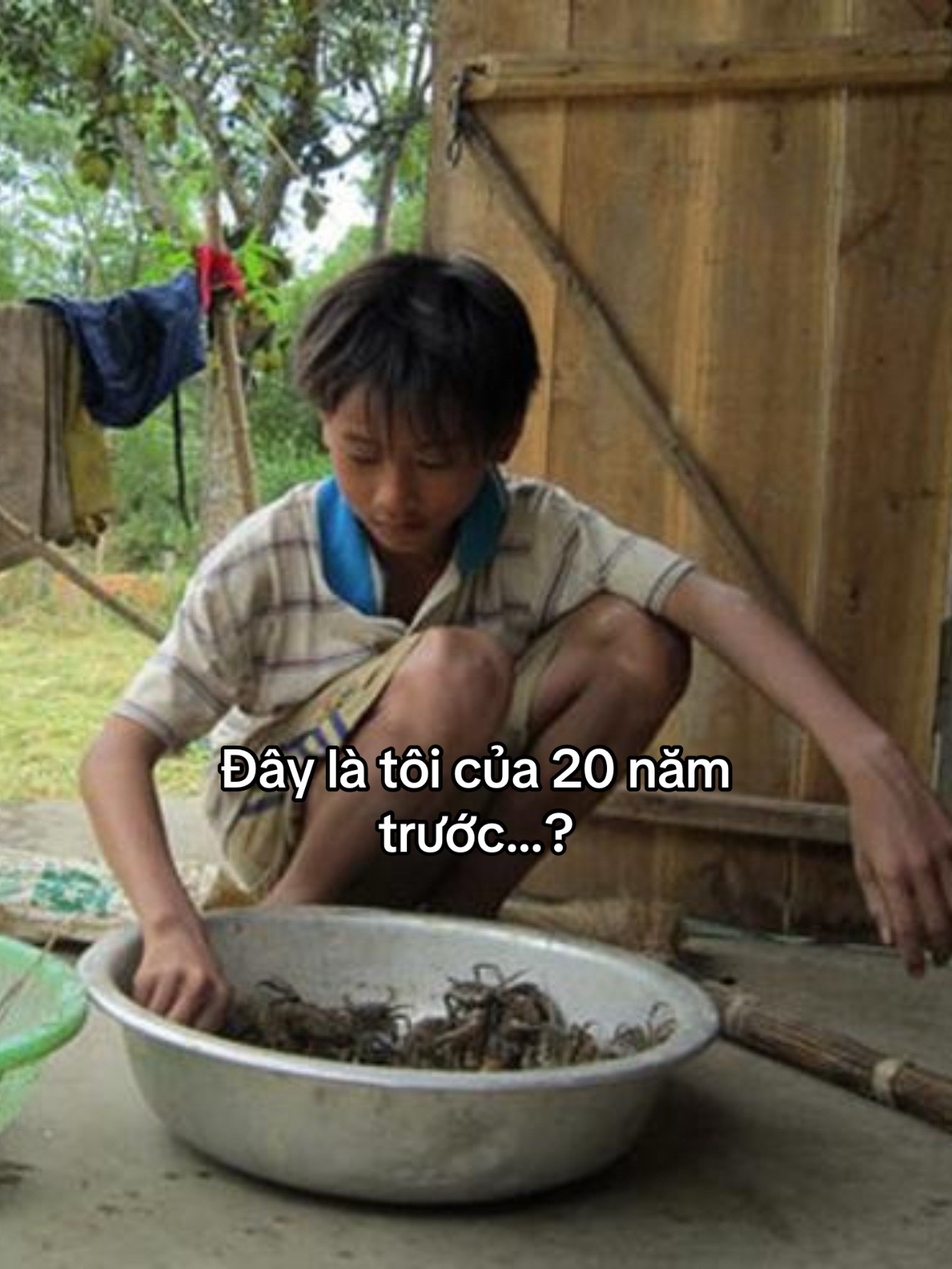@Lê Văn Chiến 💚